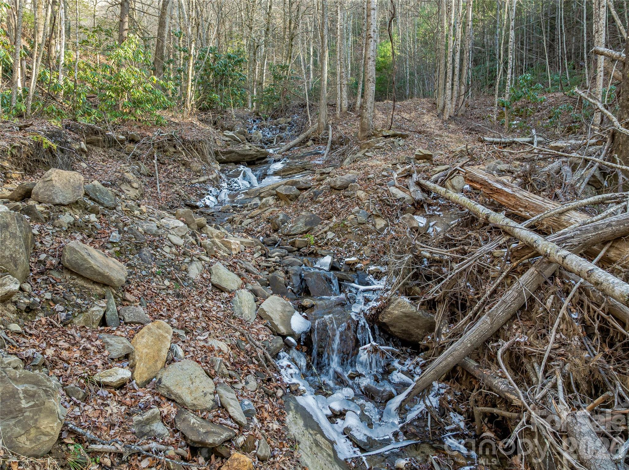 Lot at 119 Wildflower Cove Drive, Swannanoa, photo 29 of 48