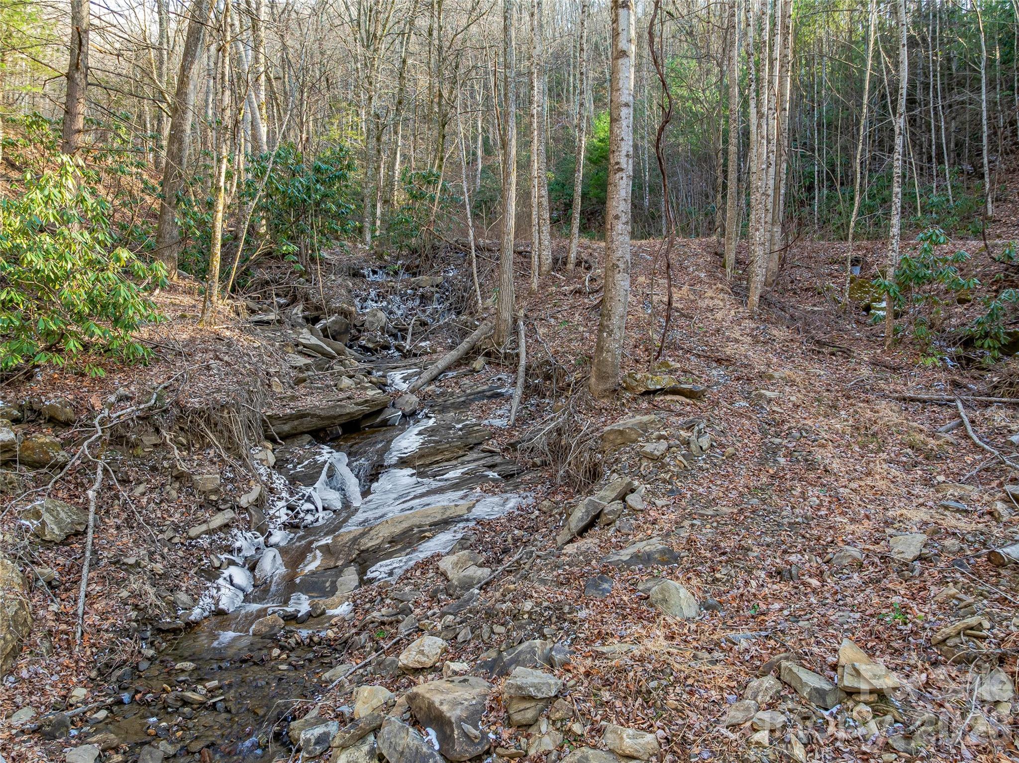 Lot at 119 Wildflower Cove Drive, Swannanoa, photo 30 of 48