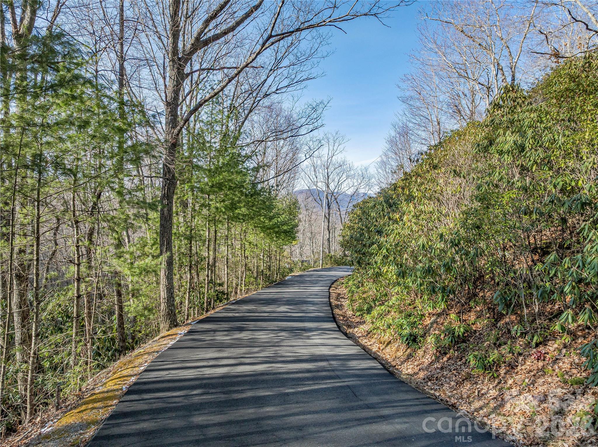 Lot at 119 Wildflower Cove Drive, Swannanoa, photo 42 of 48