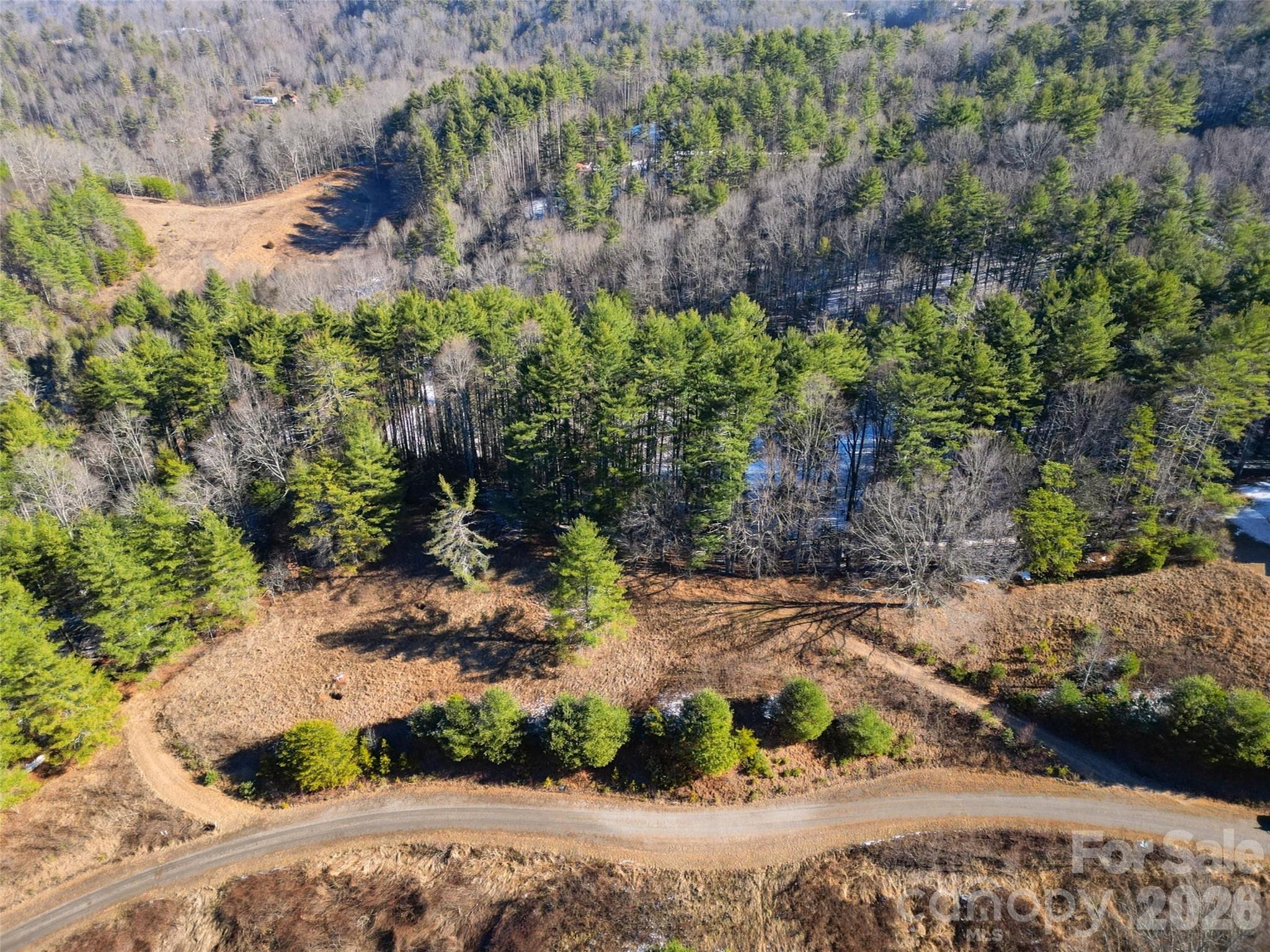 Lot at 00 Dream Valley Drive, Clyde, photo 3 of 23