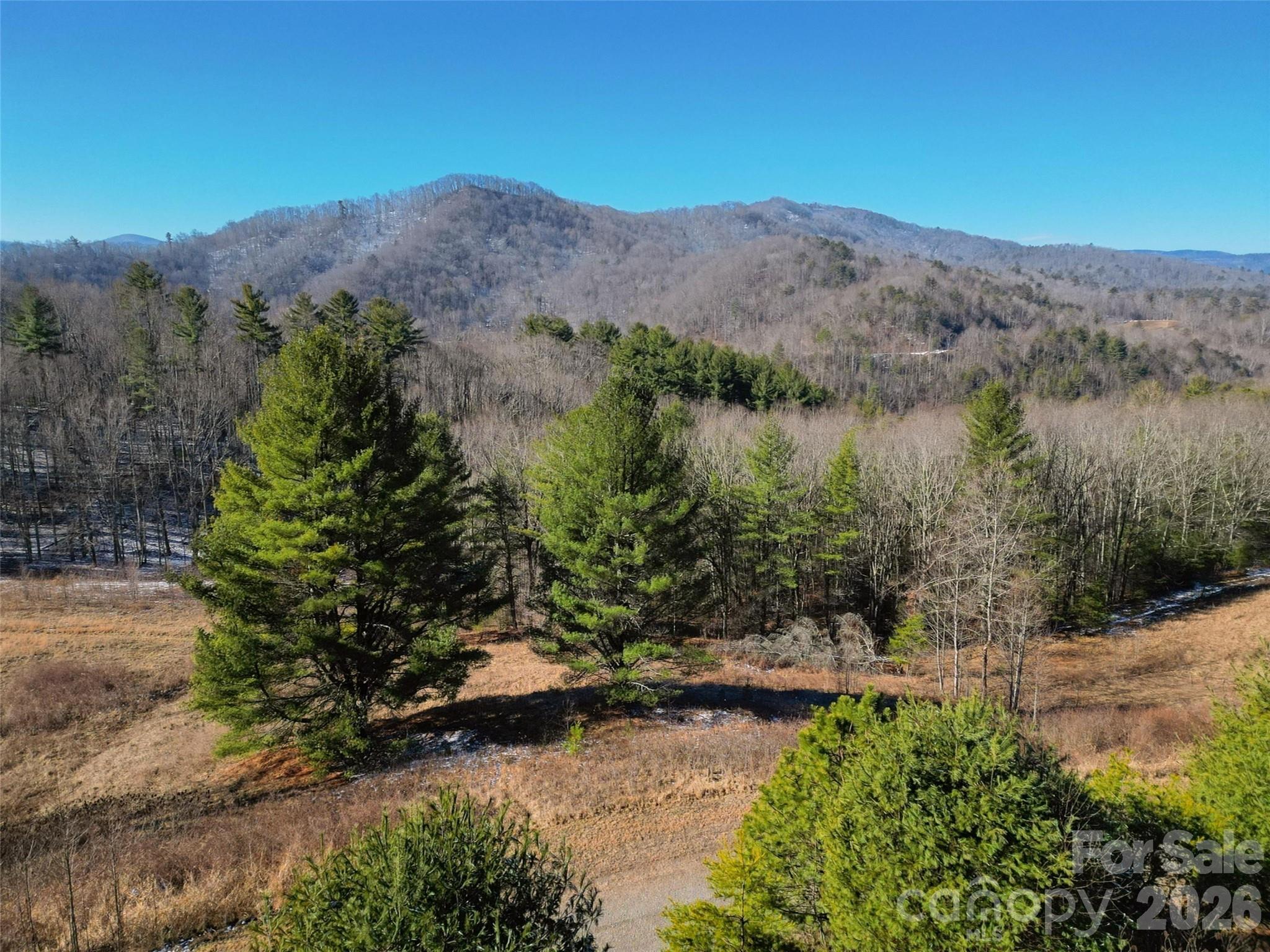 Lot at 00 Dream Valley Drive, Clyde, photo 6 of 23