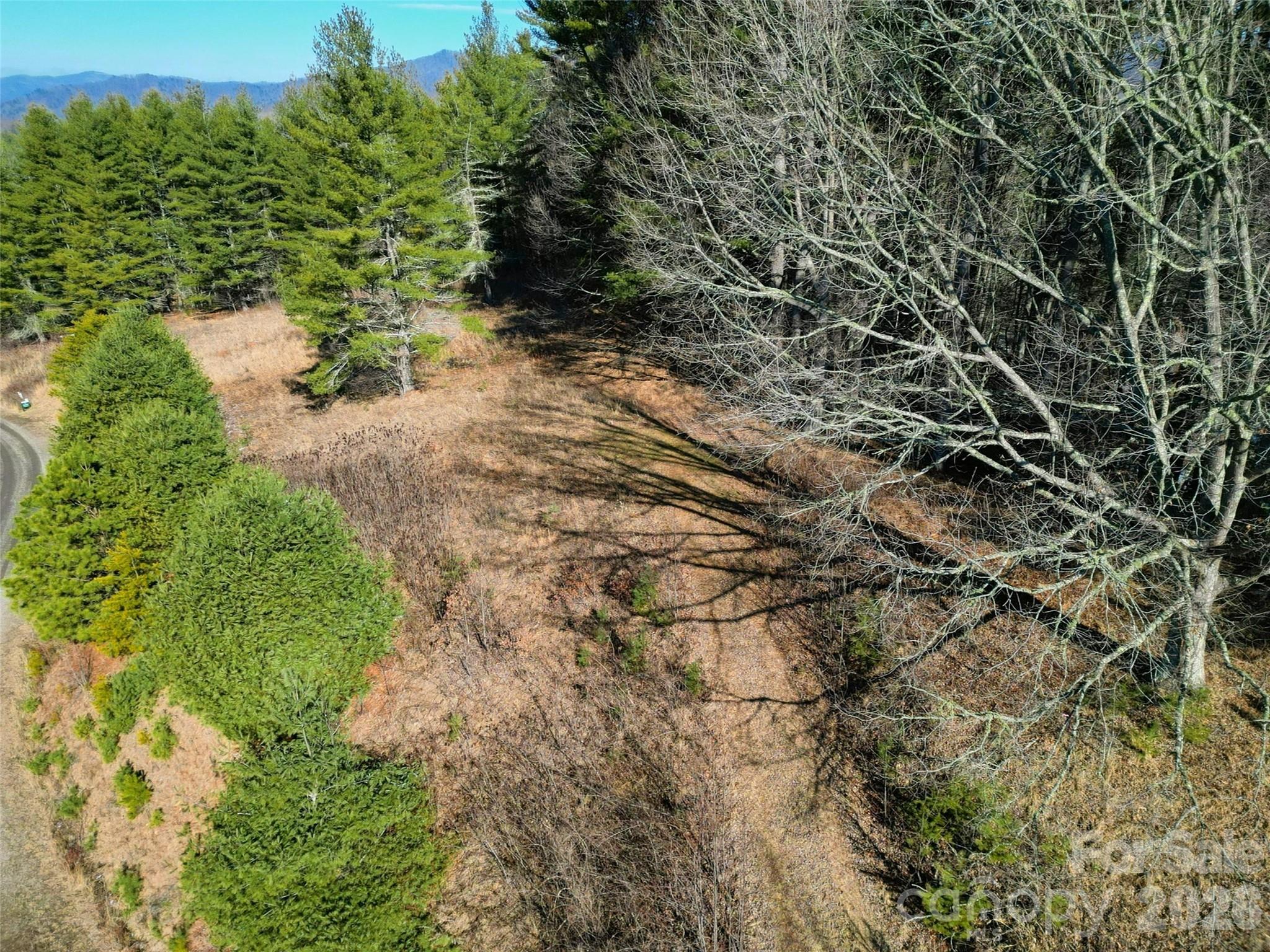 Lot at 00 Dream Valley Drive, Clyde, photo 8 of 23