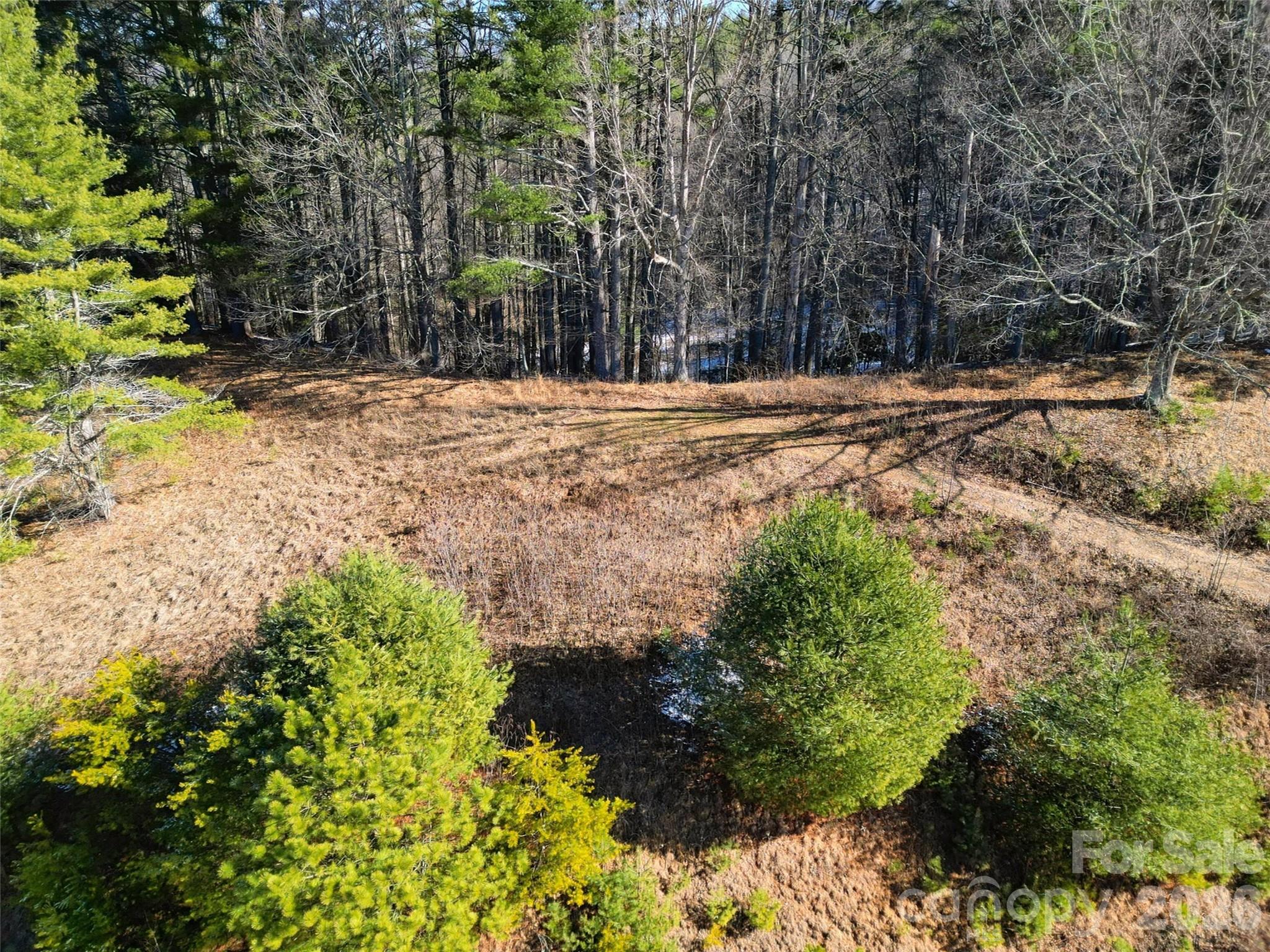Lot at 00 Dream Valley Drive, Clyde, photo 9 of 23