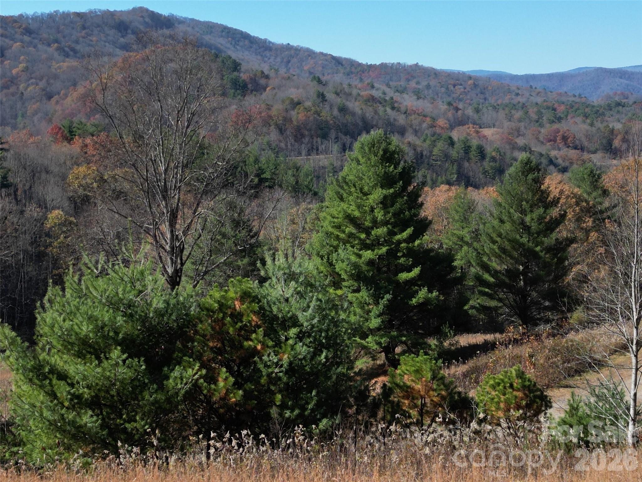 Lot at 00 Dream Valley Drive, Clyde, photo 13 of 23