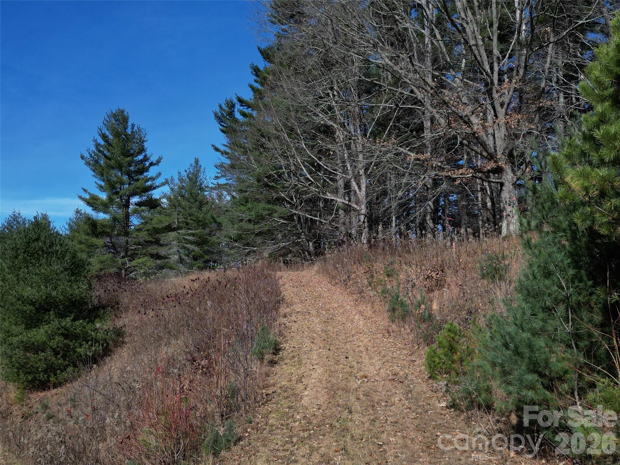 Lot at 00 Dream Valley Drive, Clyde, photo 19 of 23