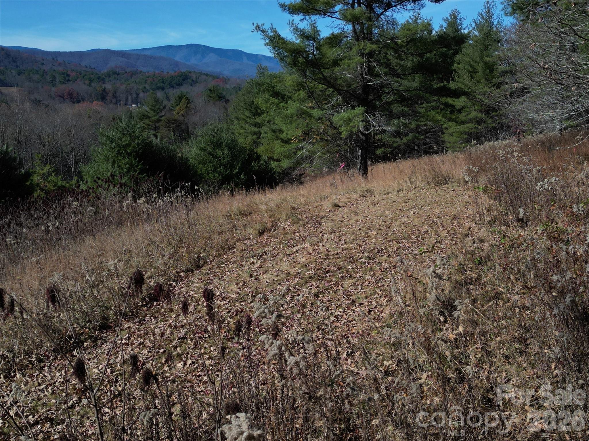 Lot at 00 Dream Valley Drive, Clyde, photo 23 of 23