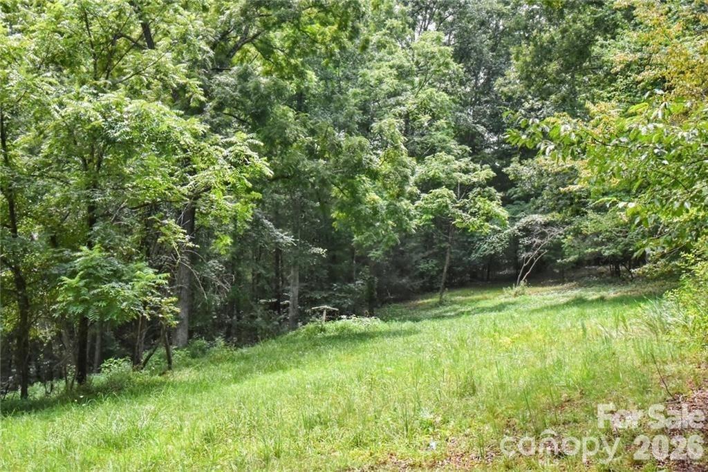 Acreage at 19 Laurel Loop Road, Fairview, photo 2 of 14