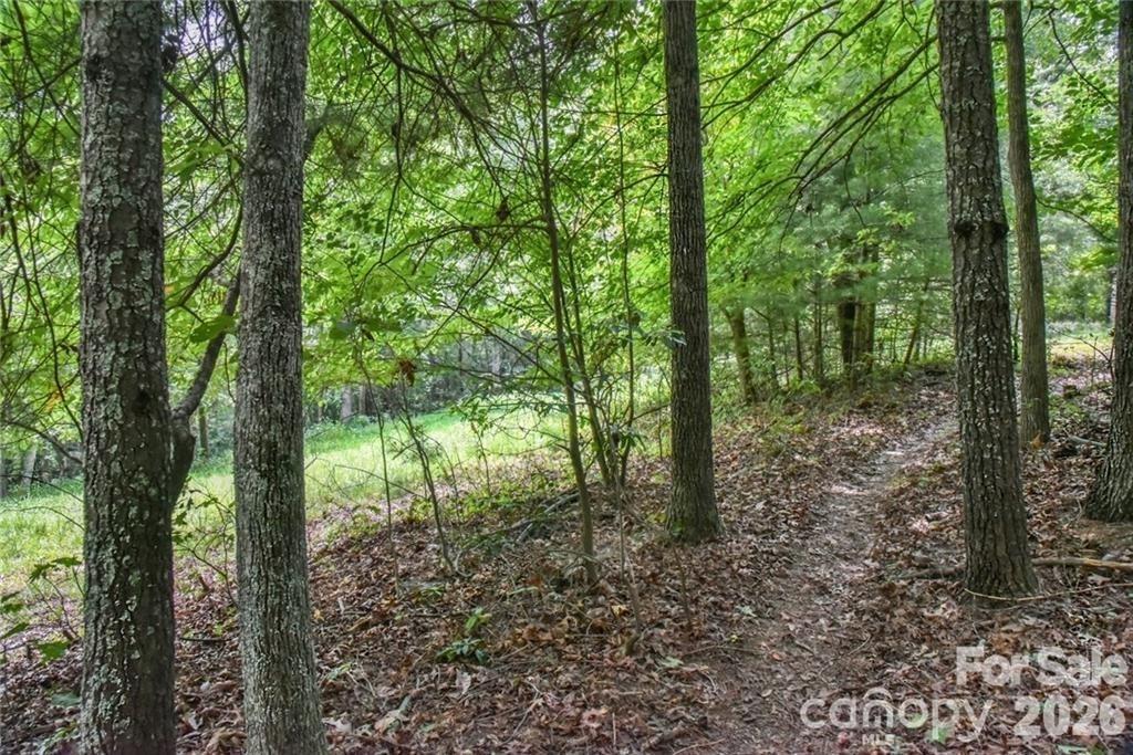 Acreage at 19 Laurel Loop Road, Fairview, photo 4 of 14