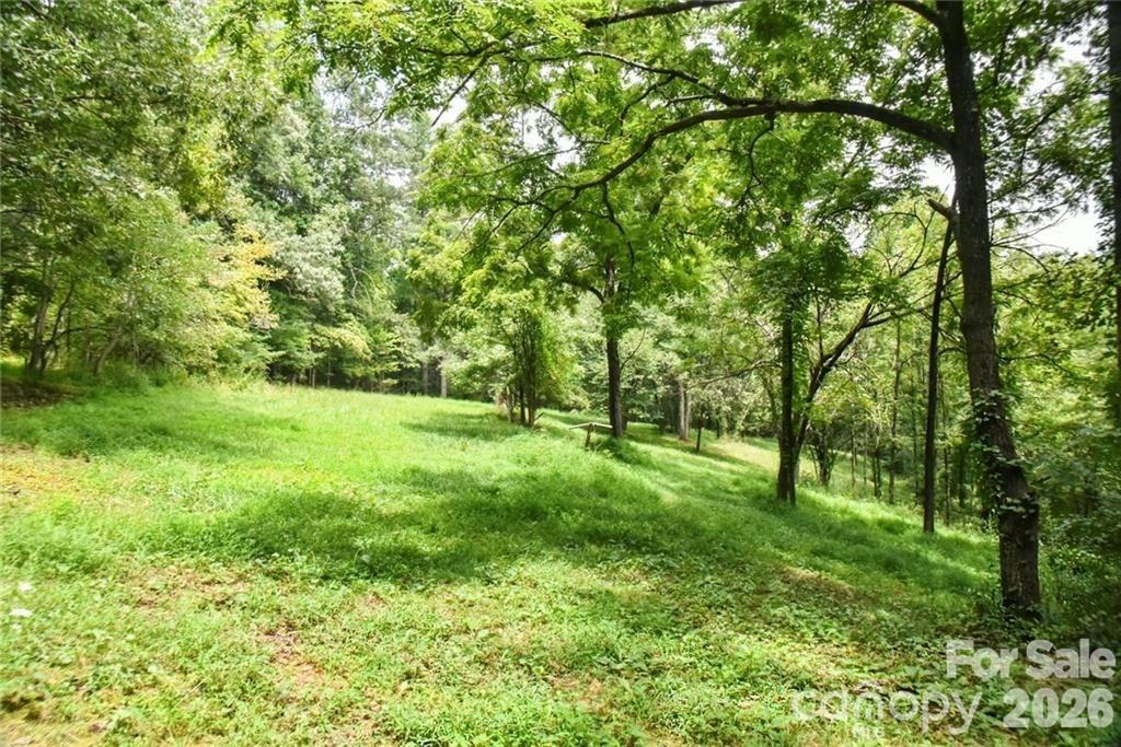 Acreage at 19 Laurel Loop Road, Fairview, photo 12 of 14