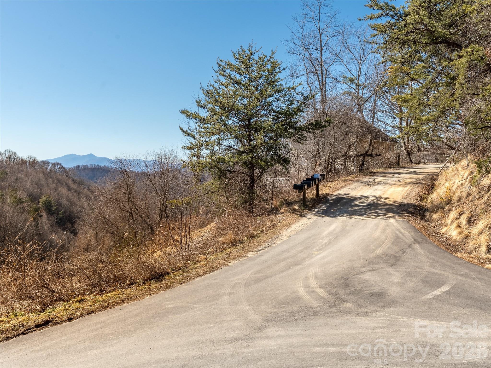 Lot at 9999 Hunters Ridge Drive, Canton, photo 9 of 10