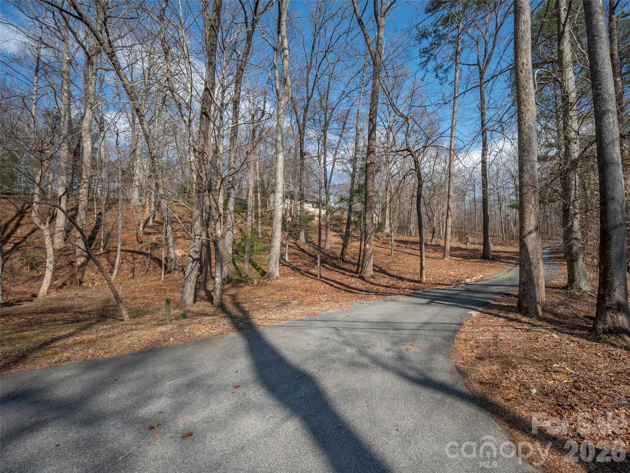 Paved road that turns to gravel off Warrior Rd to property - 0000 Judge Road, Tryon