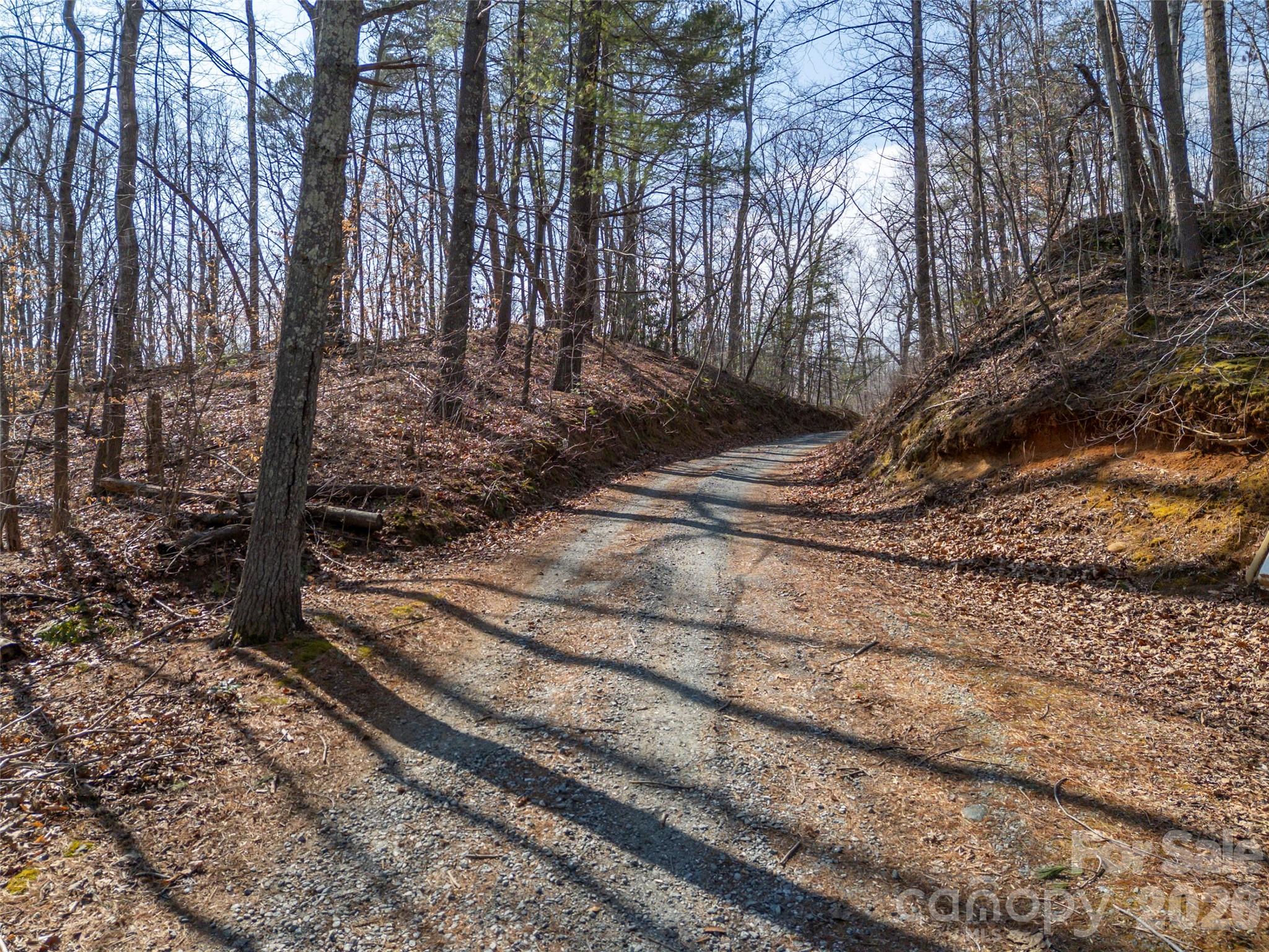 Lot at 0000 Judge Road, Tryon, photo 11 of 28