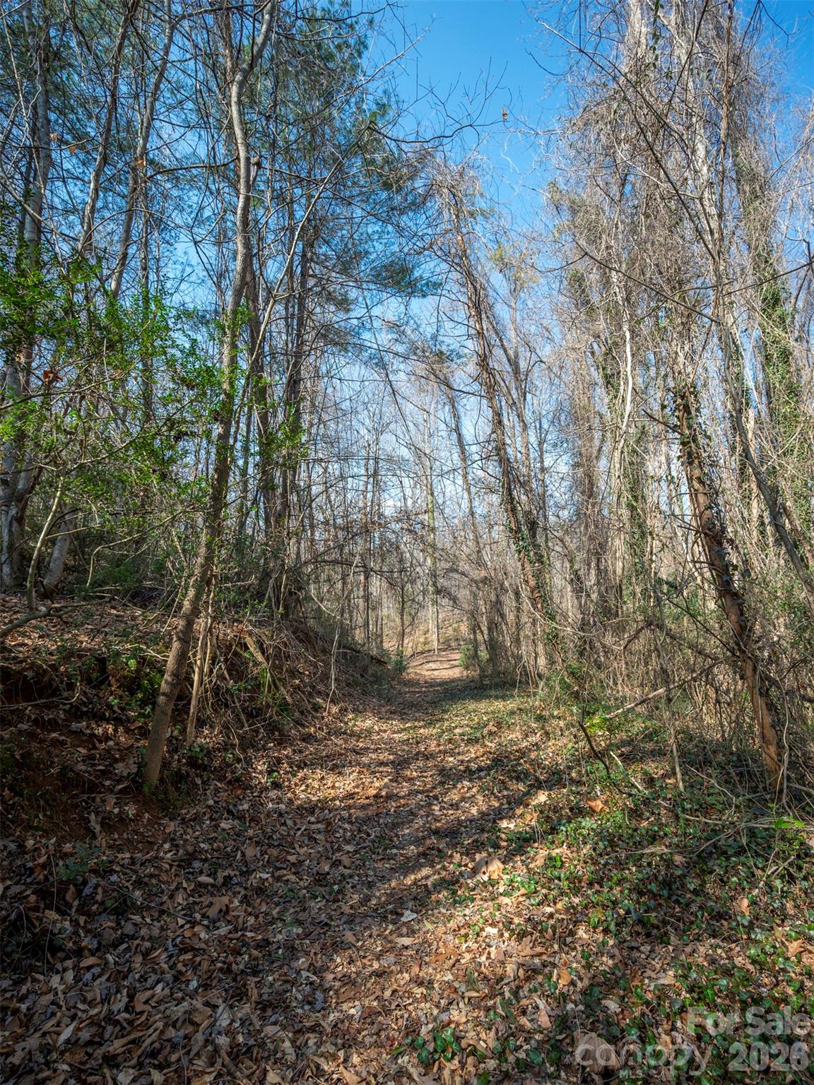Roughed in rd next to pond - 0000 Judge Road, Tryon