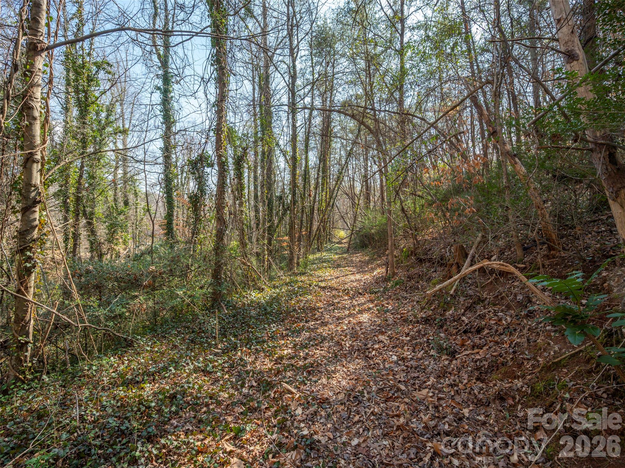 Lot at 0000 Judge Road, Tryon, photo 18 of 28