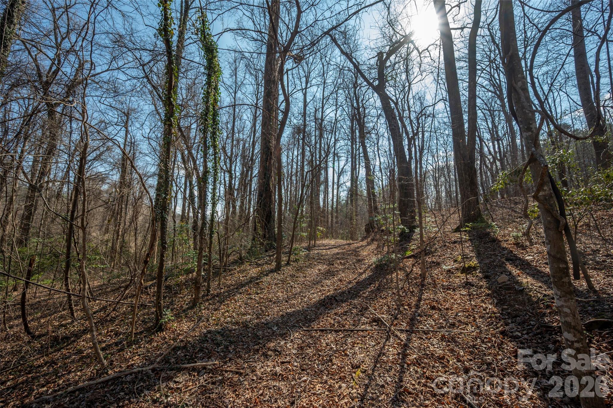 Roughed in road on 17.03 acre tract - 0000 Judge Road, Tryon