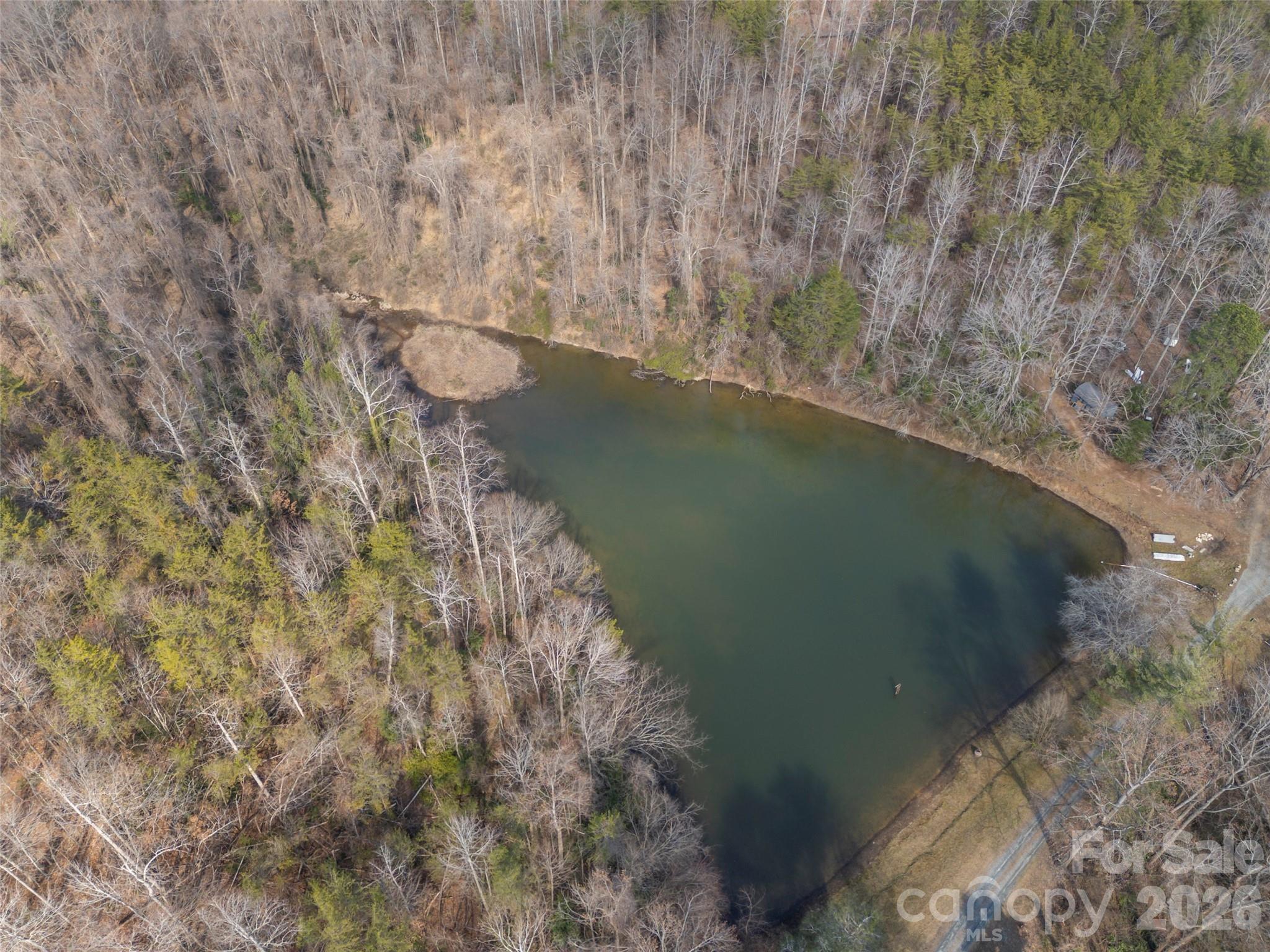 Pond - 0000 Judge Road, Tryon