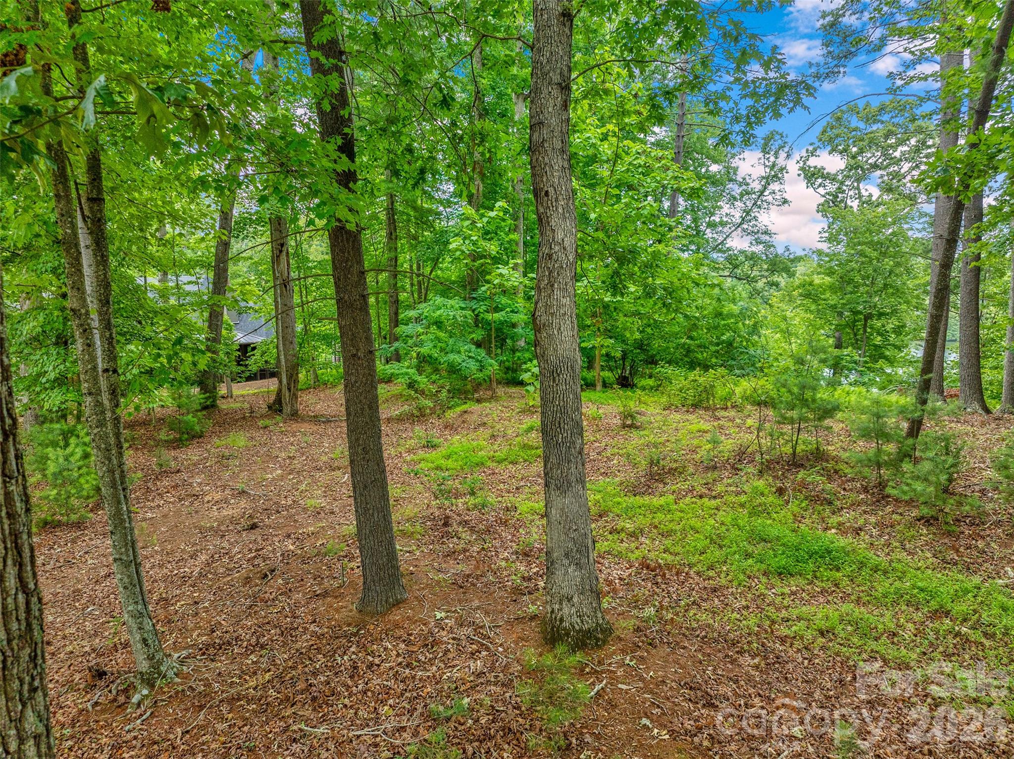 Gentle terrain and lightly wooded - 17 Hendrickson Court, Candler