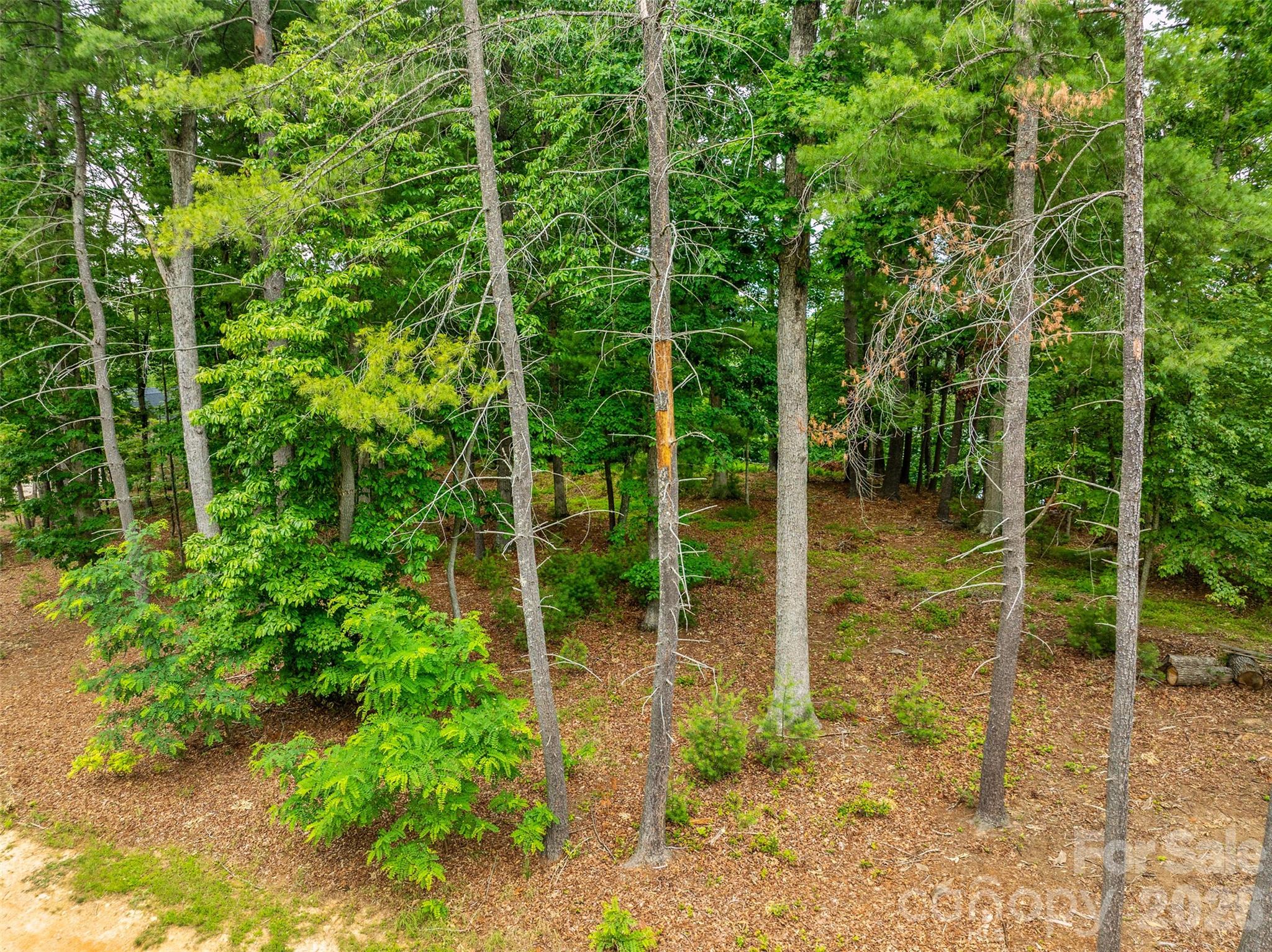 Lot at 17 Hendrickson Court, Candler, photo 14 of 18
