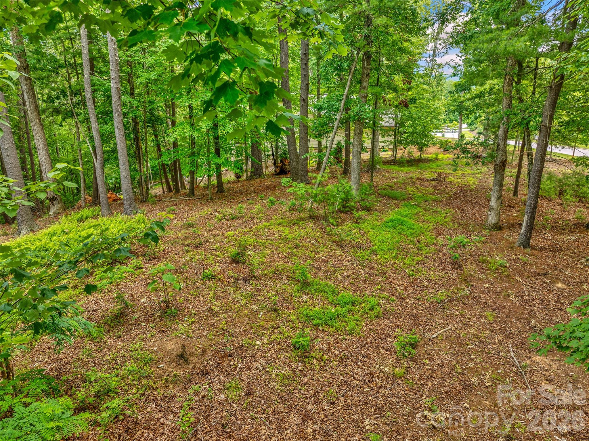 Lot at 17 Hendrickson Court, Candler, photo 15 of 18