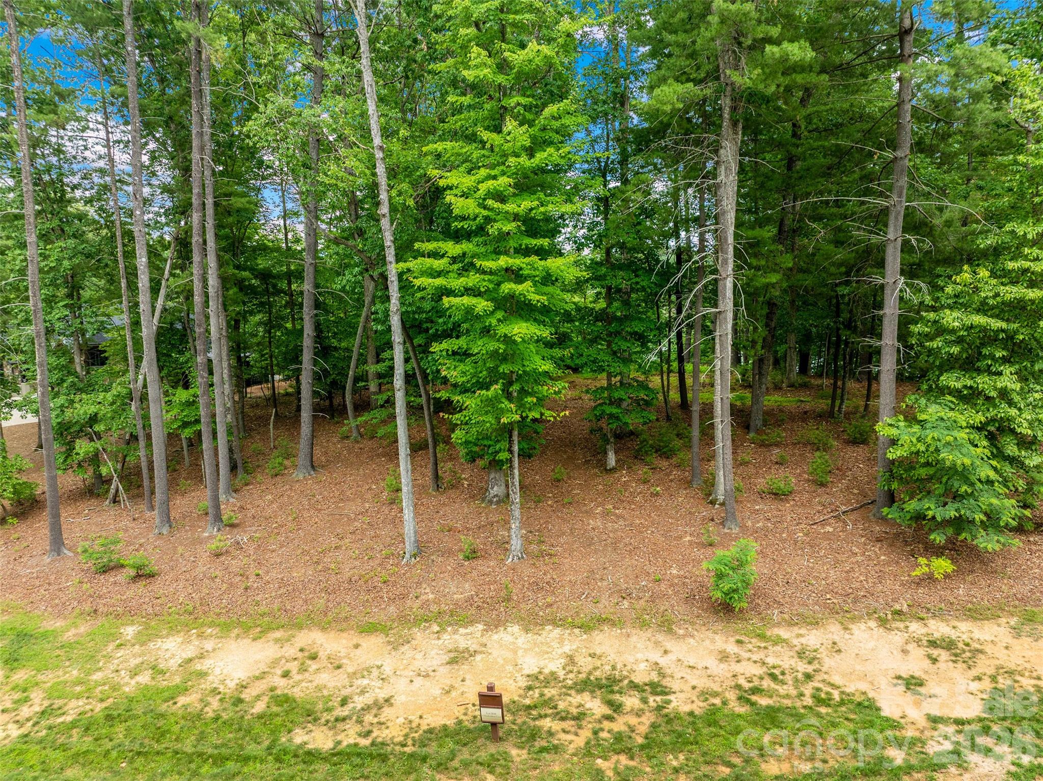 View of the lot from the street - 17 Hendrickson Court, Candler