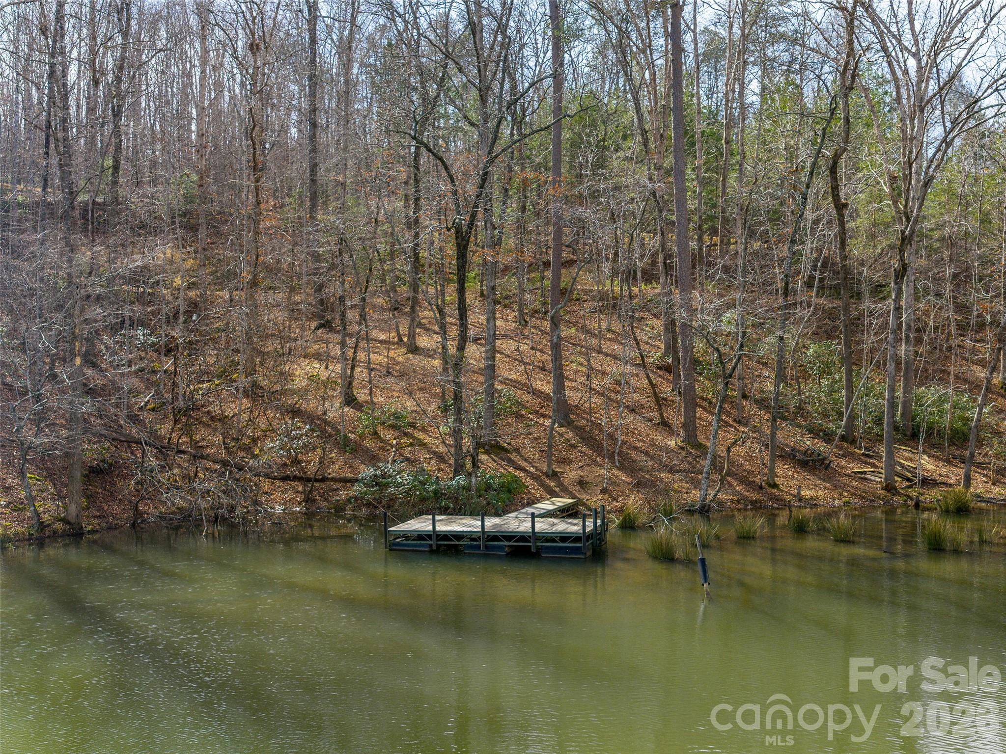 Lot at Lots 22 & 23 Lake Adger Parkway, Mill Spring, photo 2 of 18