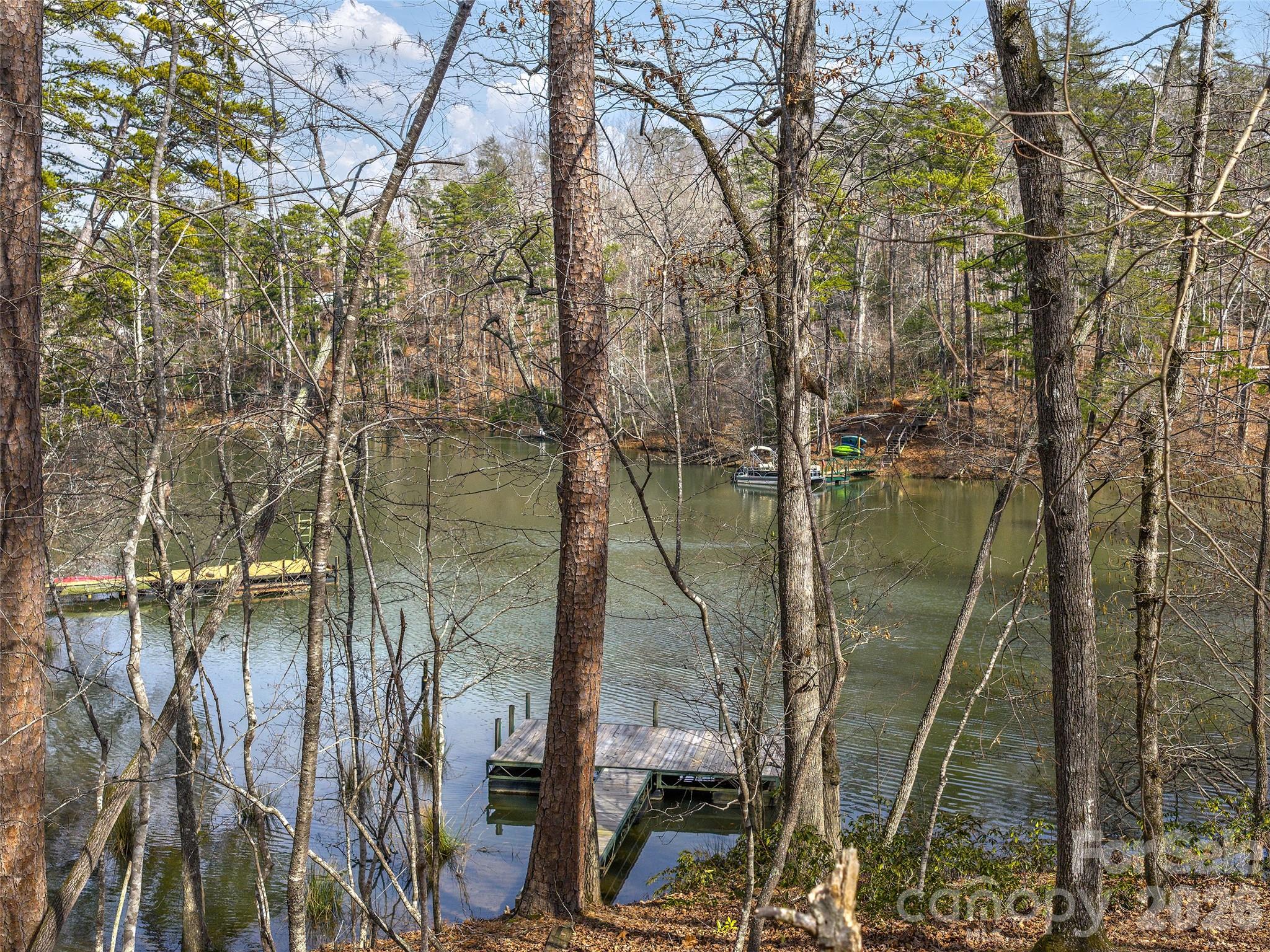 Lot at Lots 22 & 23 Lake Adger Parkway, Mill Spring, photo 3 of 18