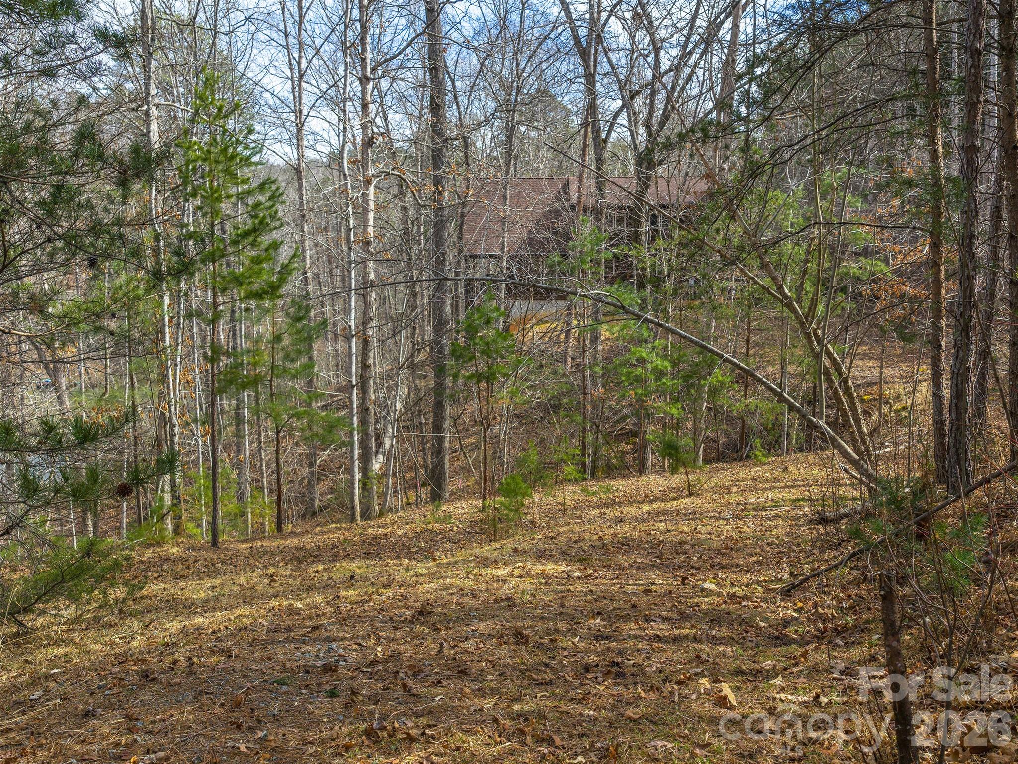 Lot at Lots 22 & 23 Lake Adger Parkway, Mill Spring, photo 4 of 18