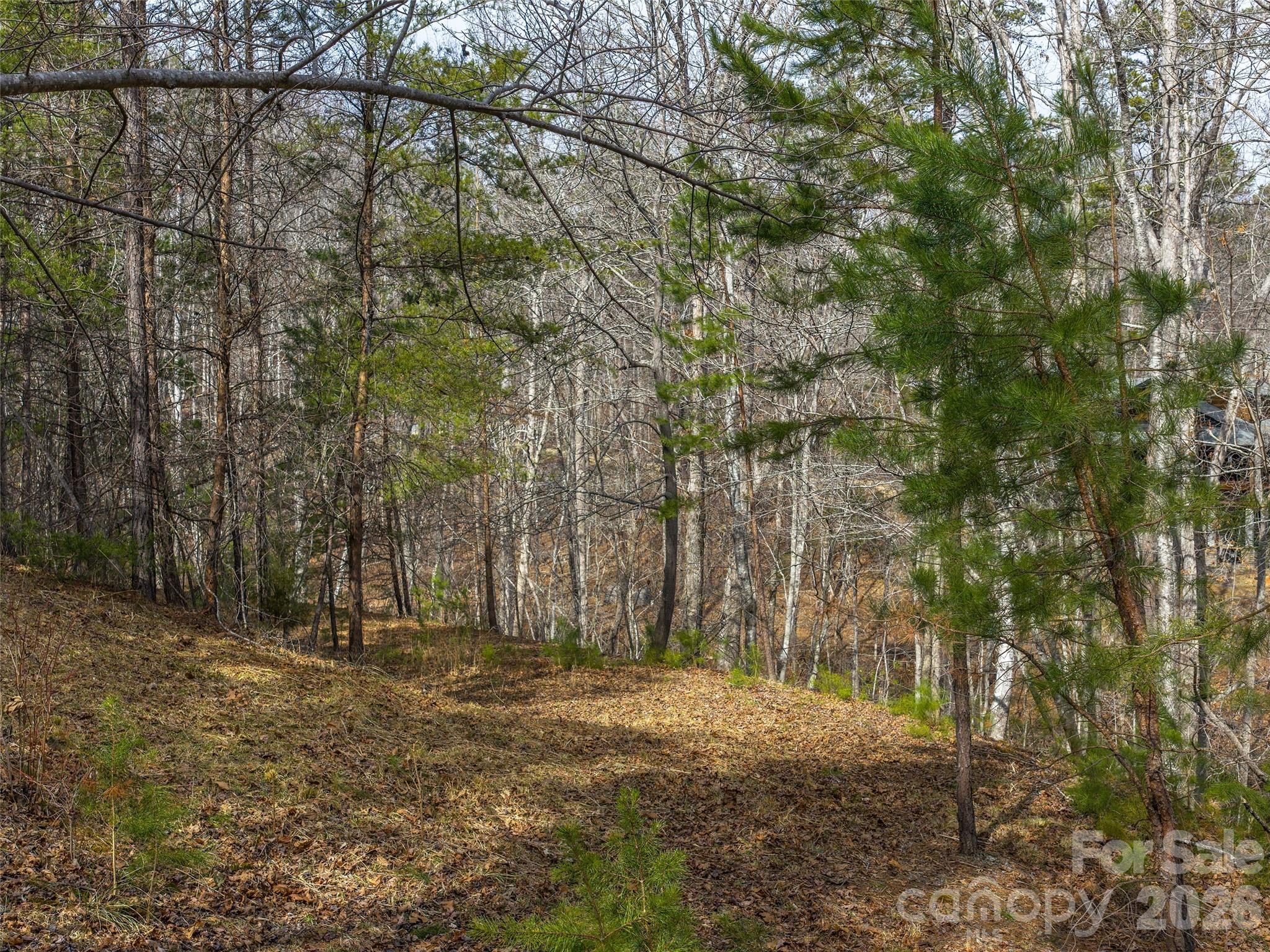 Lot at Lots 22 & 23 Lake Adger Parkway, Mill Spring, photo 5 of 18