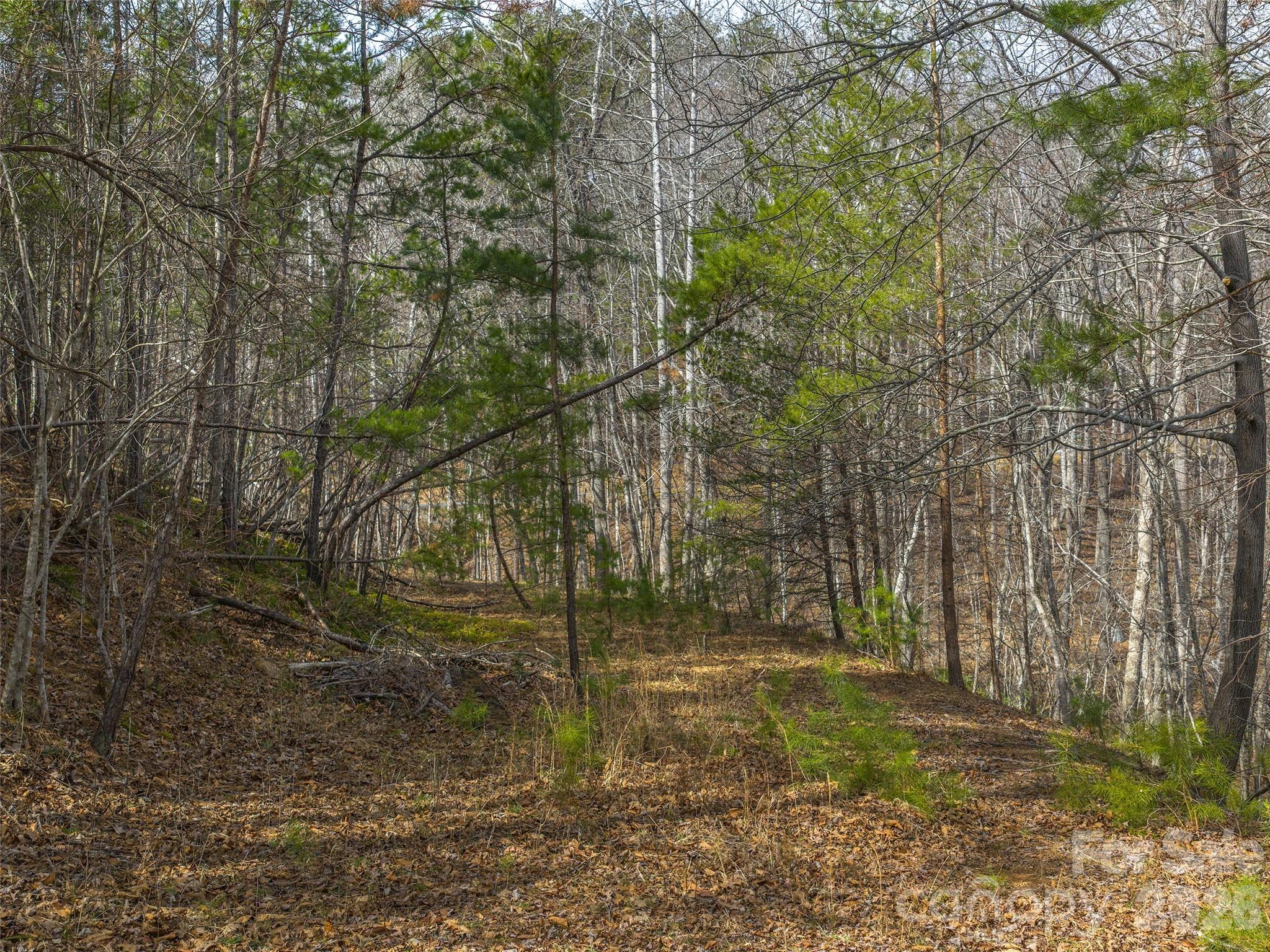 Lot at Lots 22 & 23 Lake Adger Parkway, Mill Spring, photo 6 of 18