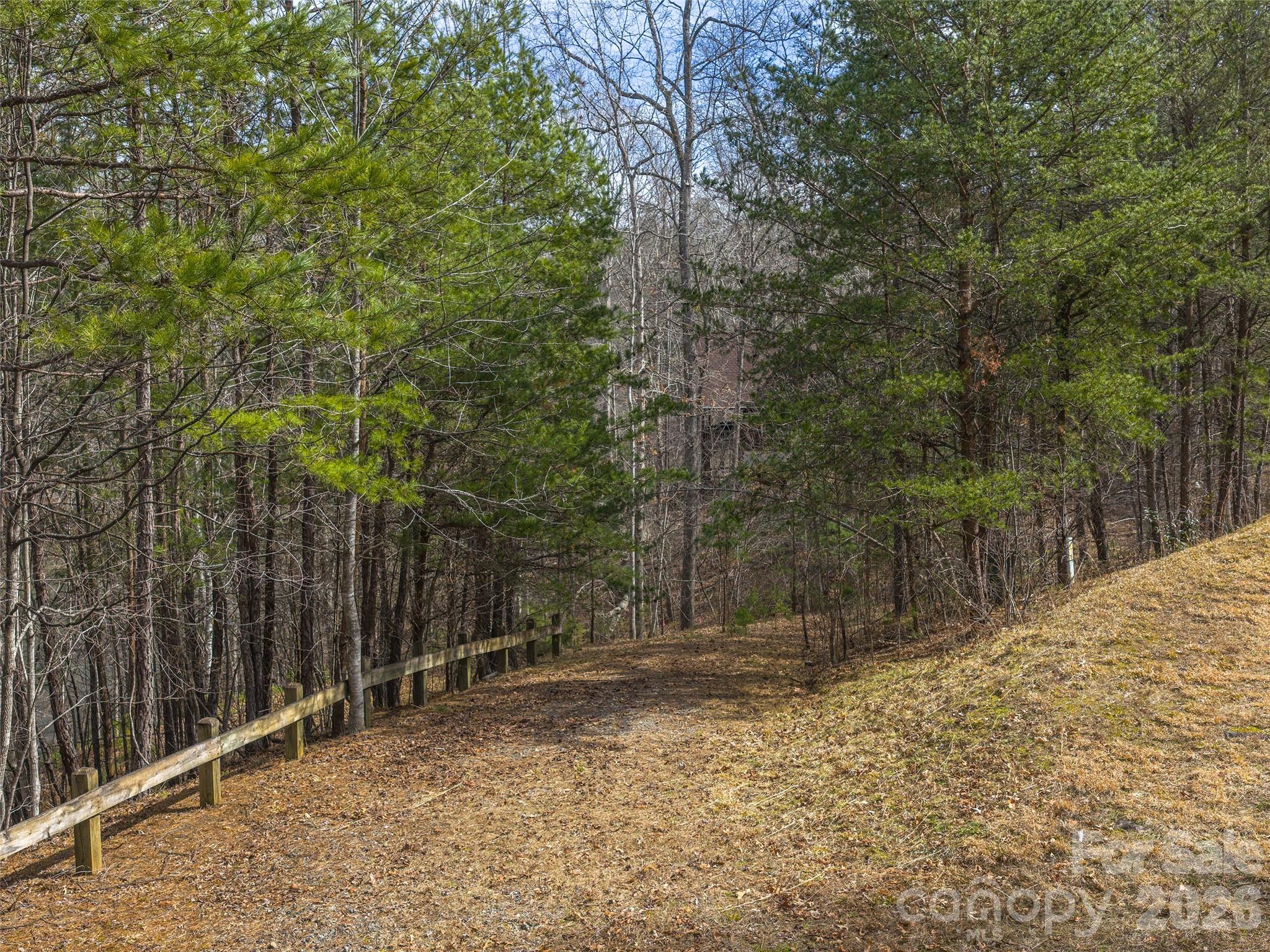 Lot at Lots 22 & 23 Lake Adger Parkway, Mill Spring, photo 7 of 18