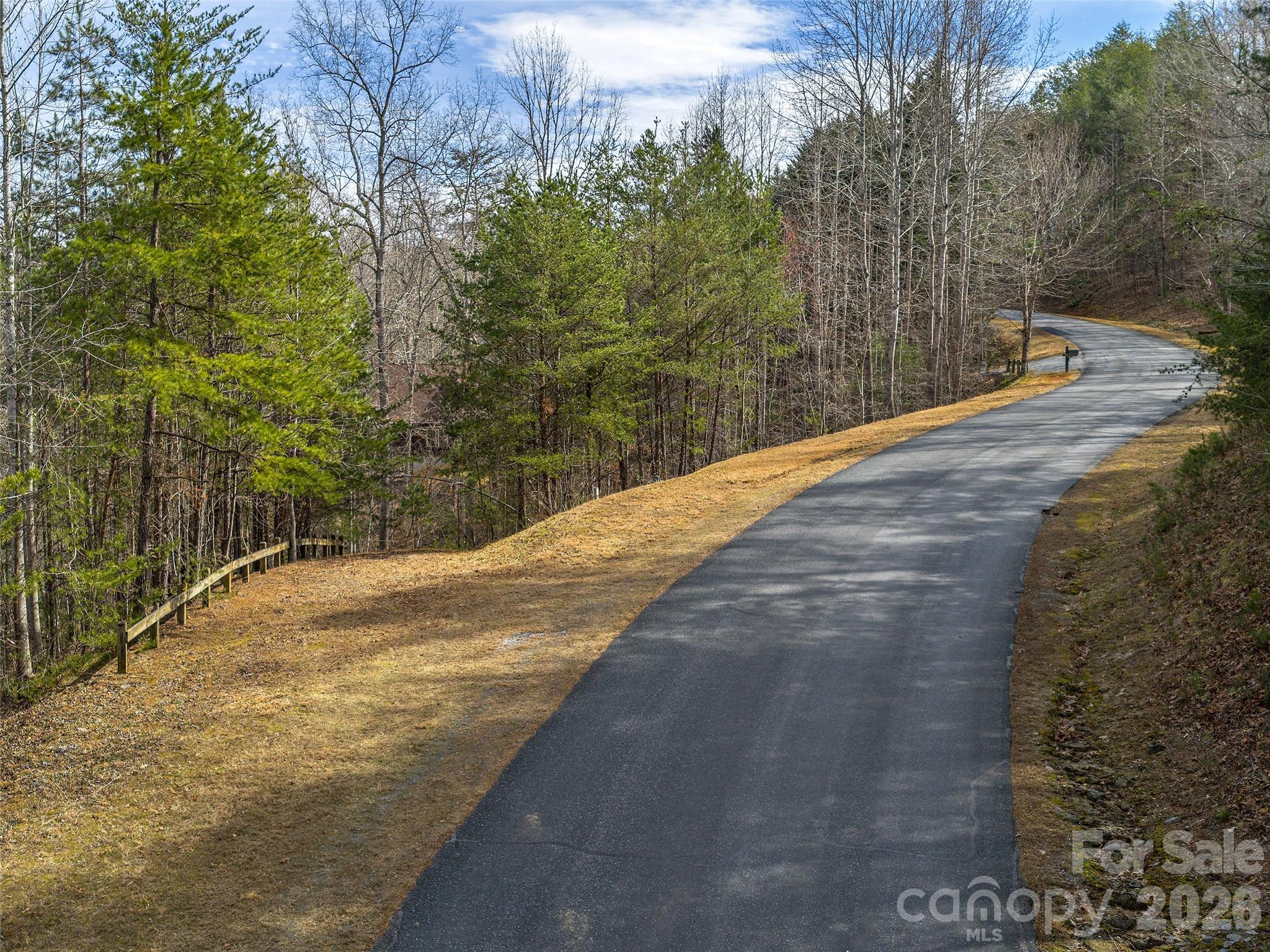 Lot at Lots 22 & 23 Lake Adger Parkway, Mill Spring, photo 8 of 18