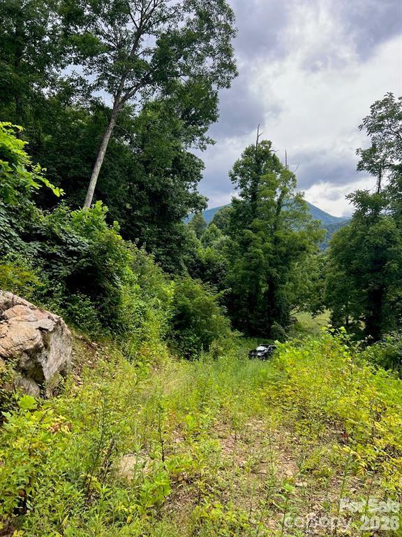 Lot at 000 Shadyside Drive, Waynesville, photo 2 of 11
