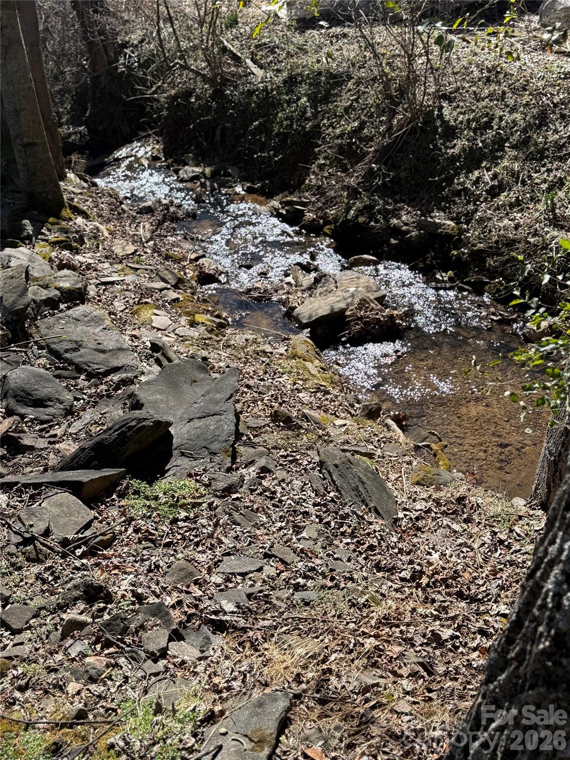Noisy stream - 215 Pinellas Lane, Waynesville