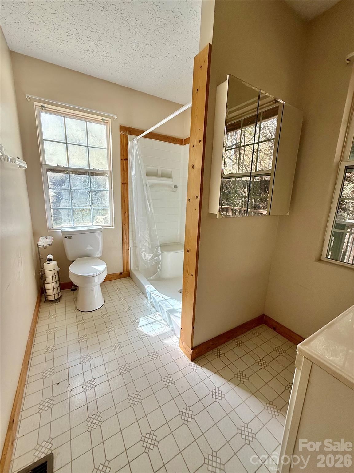 Primary Bathroom - 215 Pinellas Lane, Waynesville