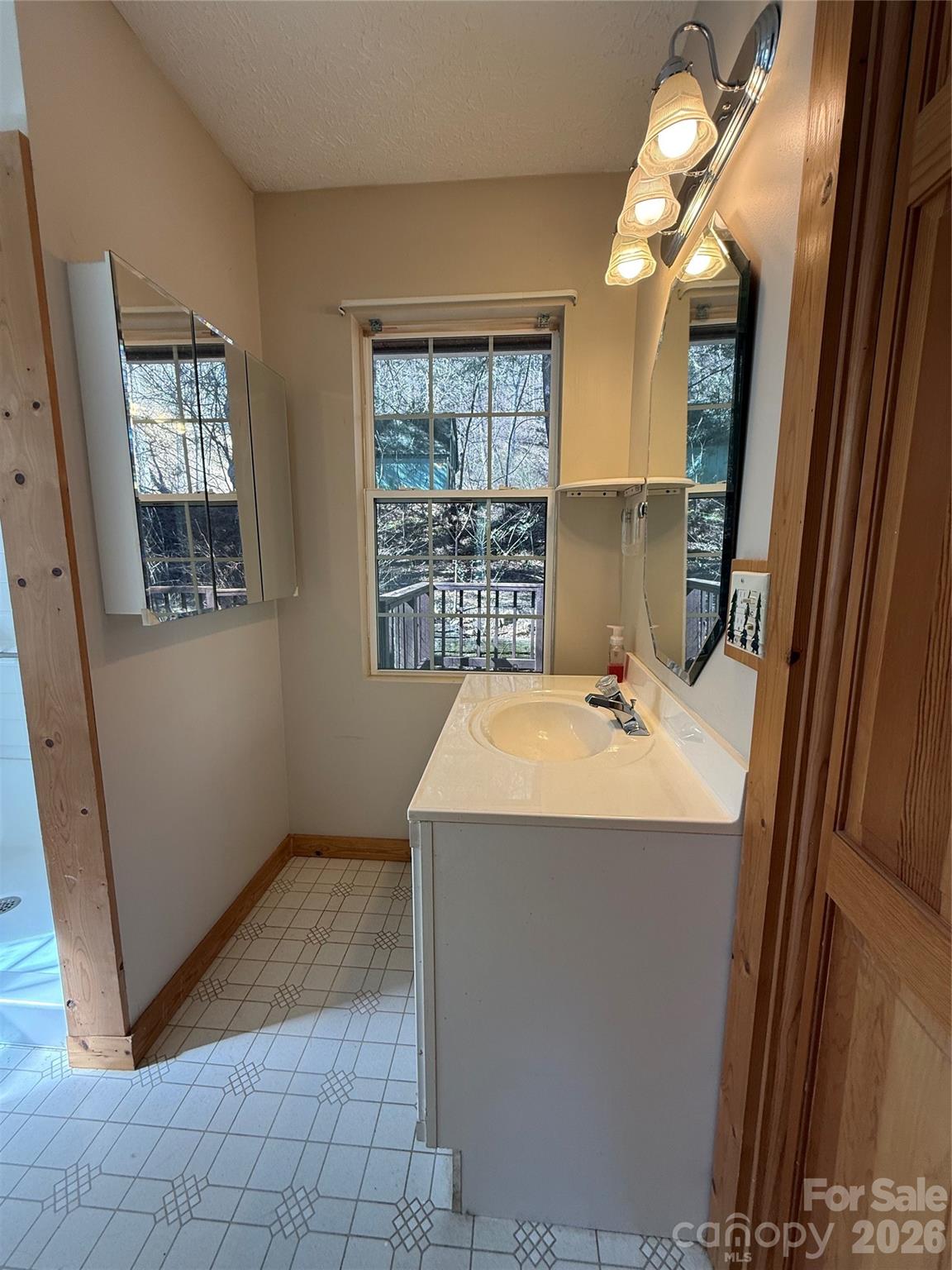 Nice bright vanity - 215 Pinellas Lane, Waynesville