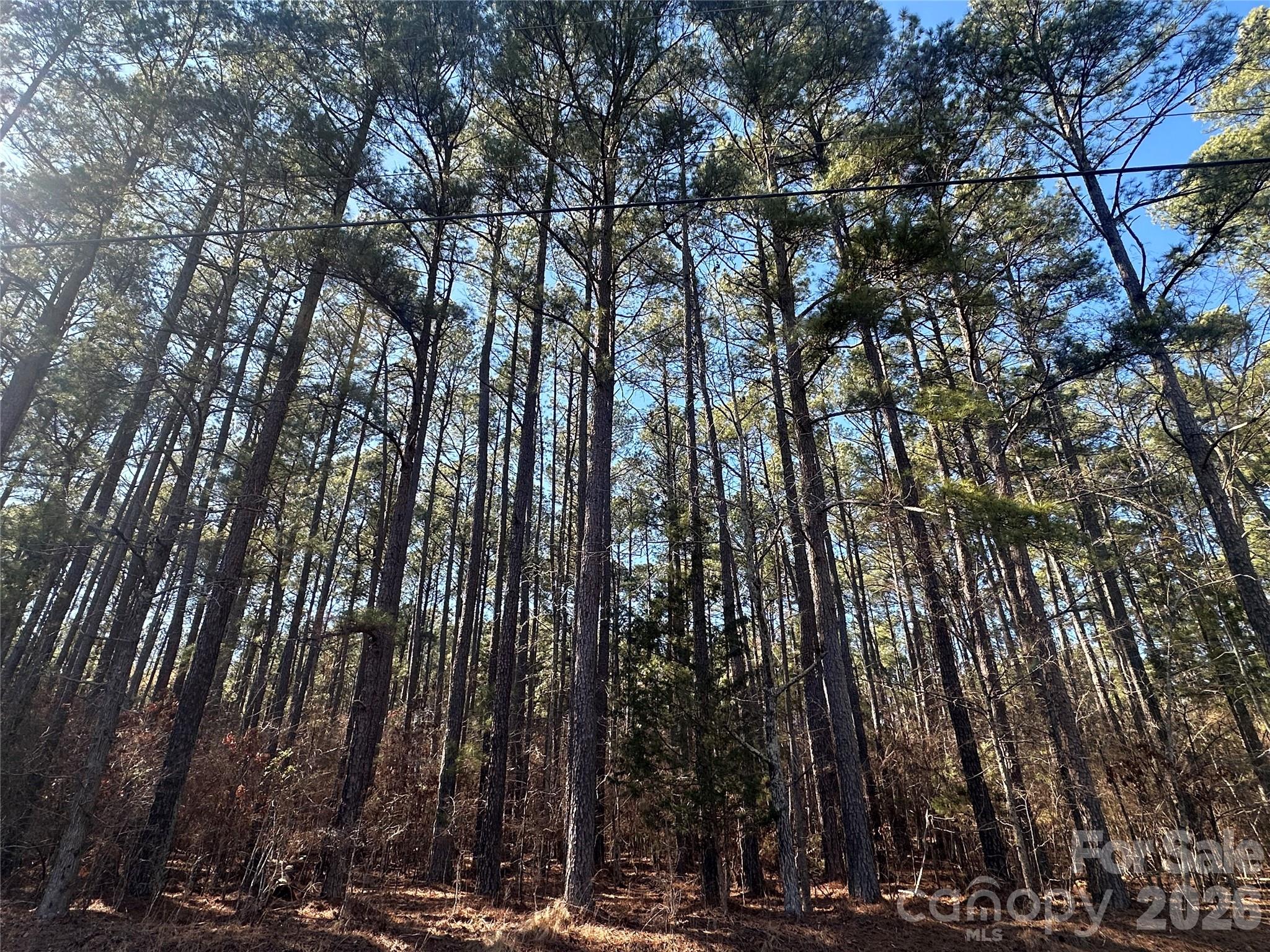 2410 Summerville Church Road
