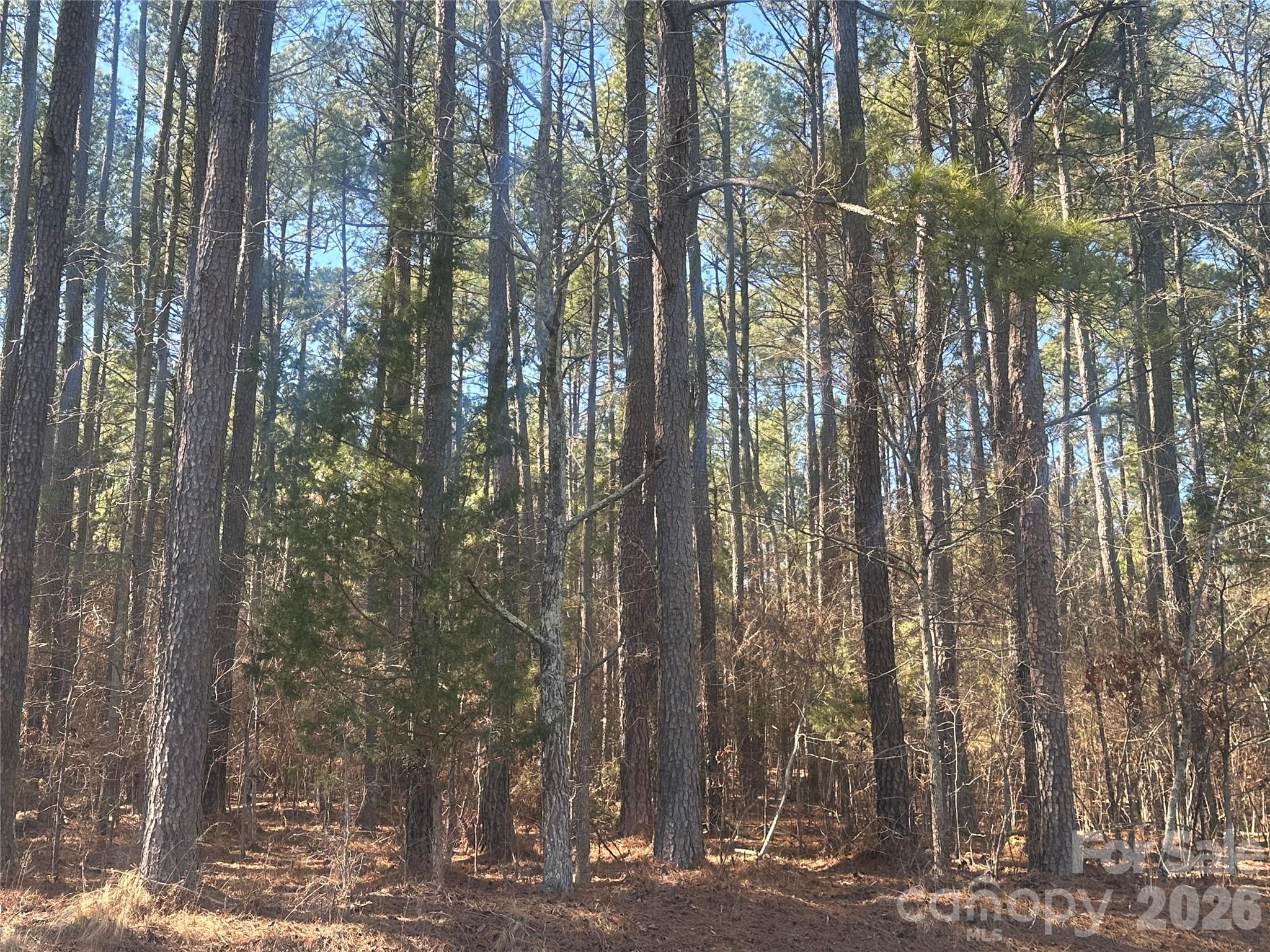 Lot at 2410 Summerville Church Road, Denton, photo 2 of 3