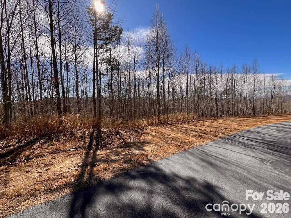 Lot at V/L 244 Scenic Vista Drive, Nebo, photo 10 of 10