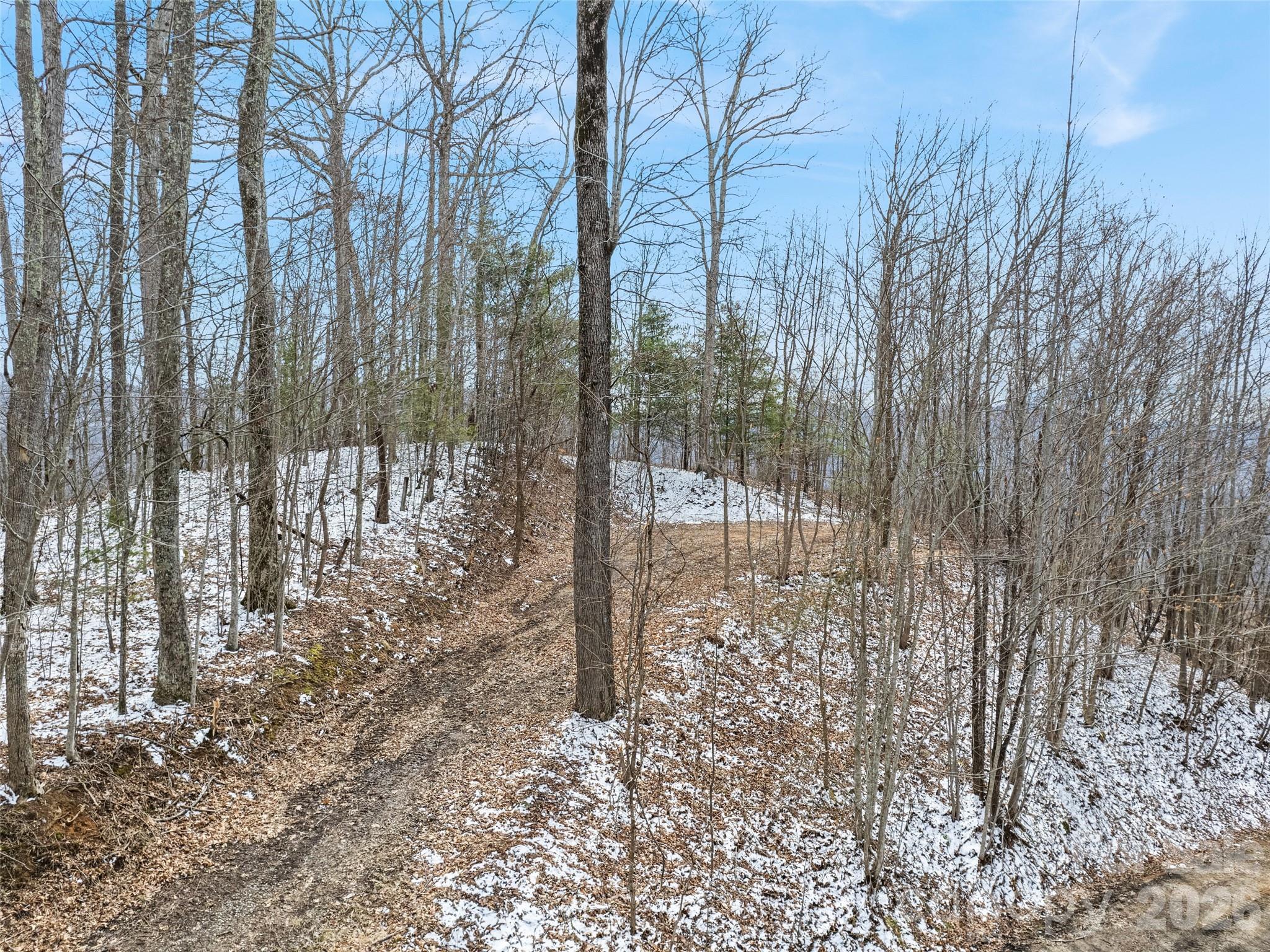 Lot at Lot #4 Viewpoint Mountain, Waynesville, photo 2 of 7