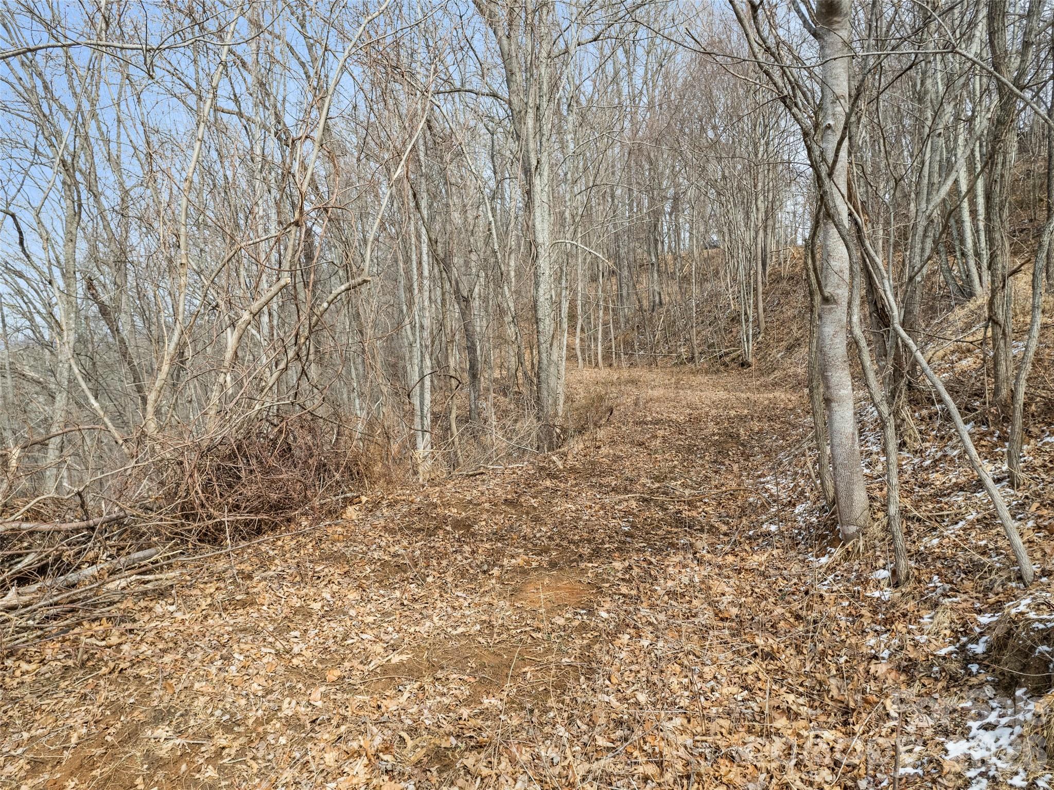 Lot at Lot #5 Viewpoint Mountain, Waynesville, photo 5 of 9