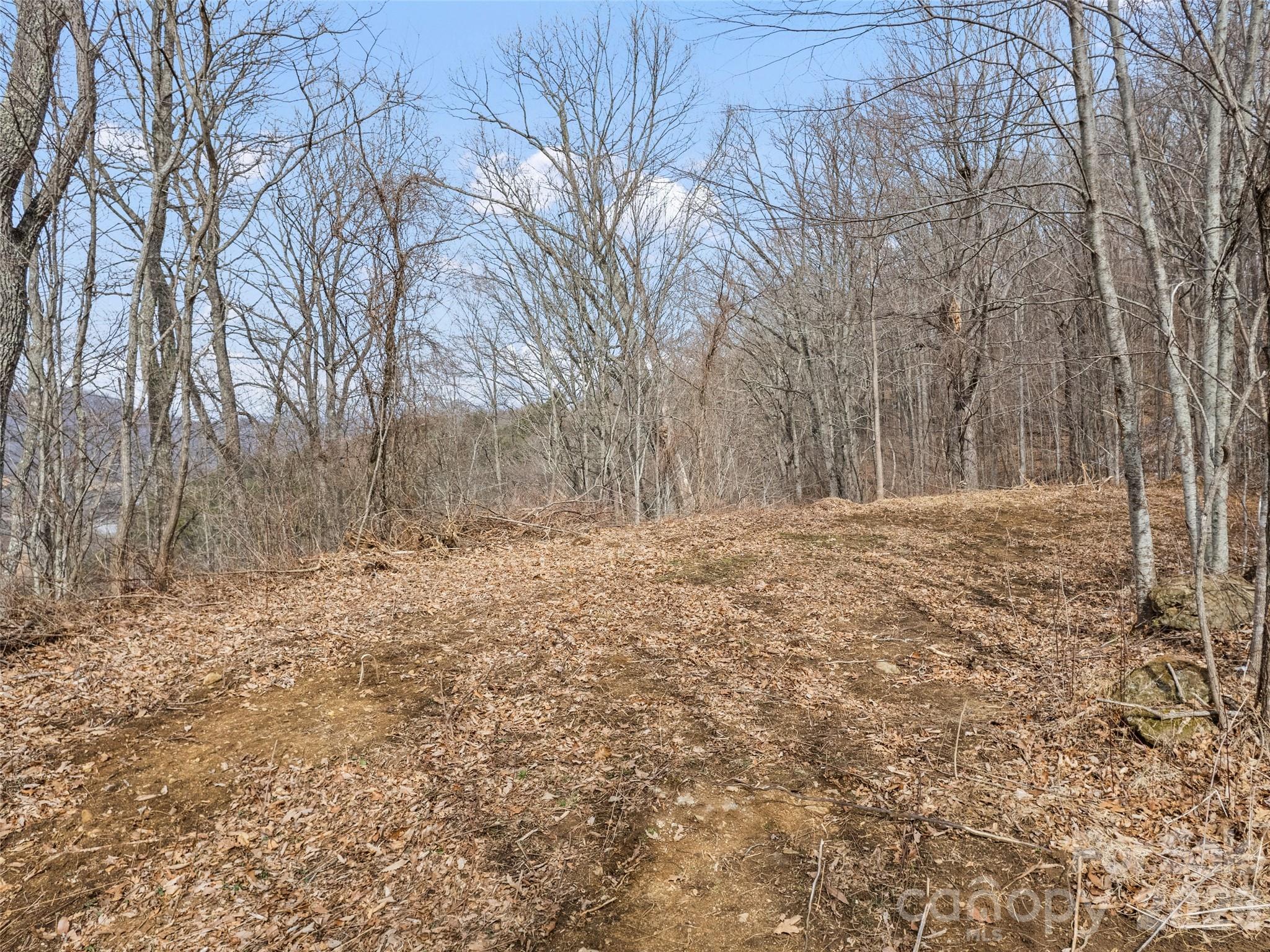 Lot at Lots #6 and 7 Viewpoint Mountain, Waynesville, photo 6 of 24