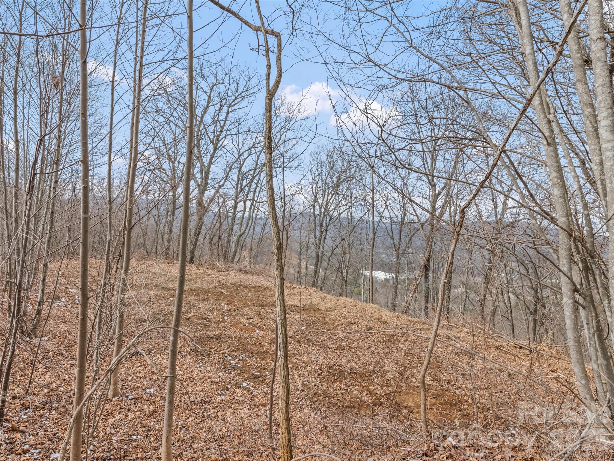 Lot at Lots #6 and 7 Viewpoint Mountain, Waynesville, photo 7 of 24