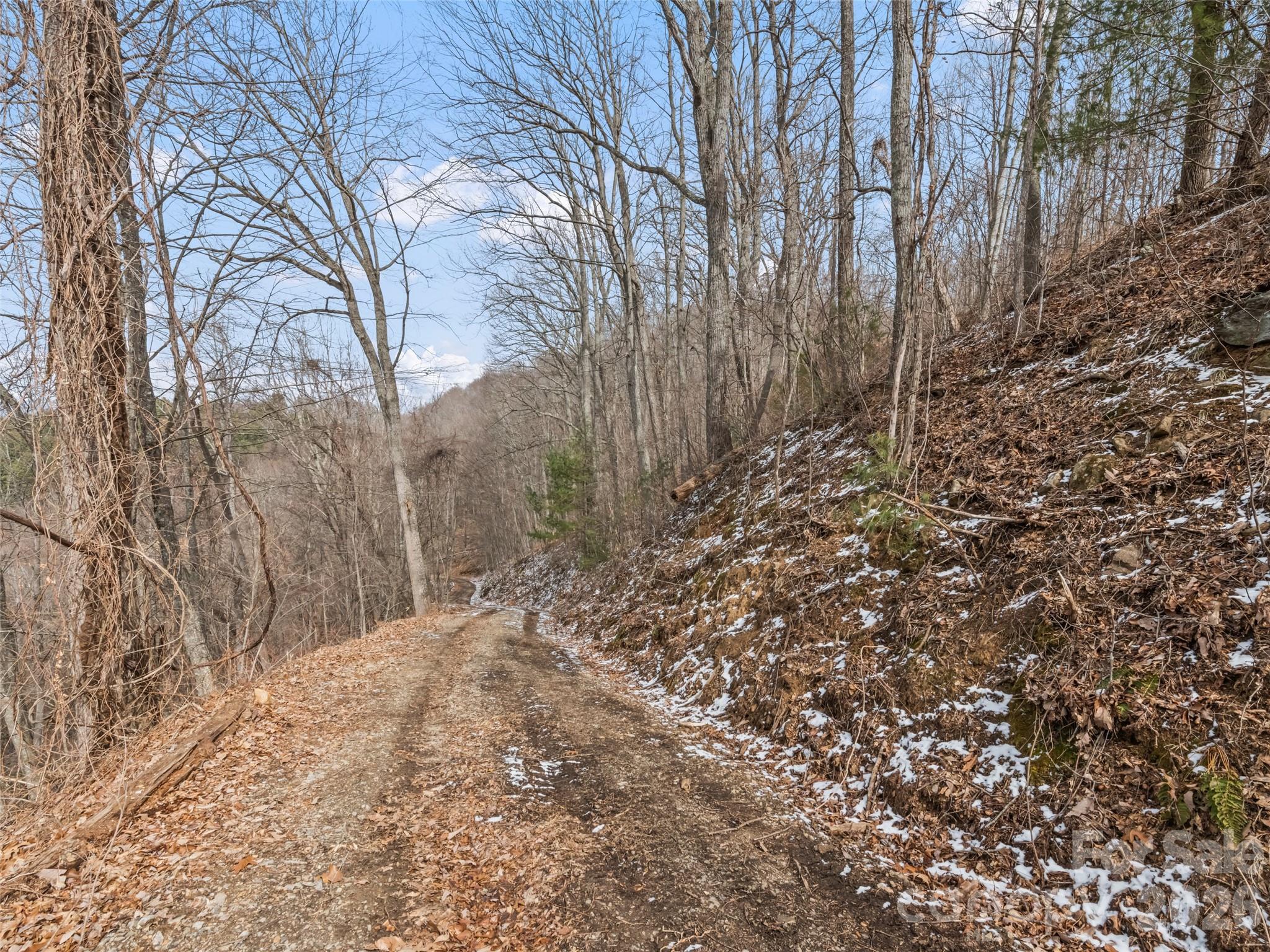 Lot at Lots #6 and 7 Viewpoint Mountain, Waynesville, photo 16 of 24