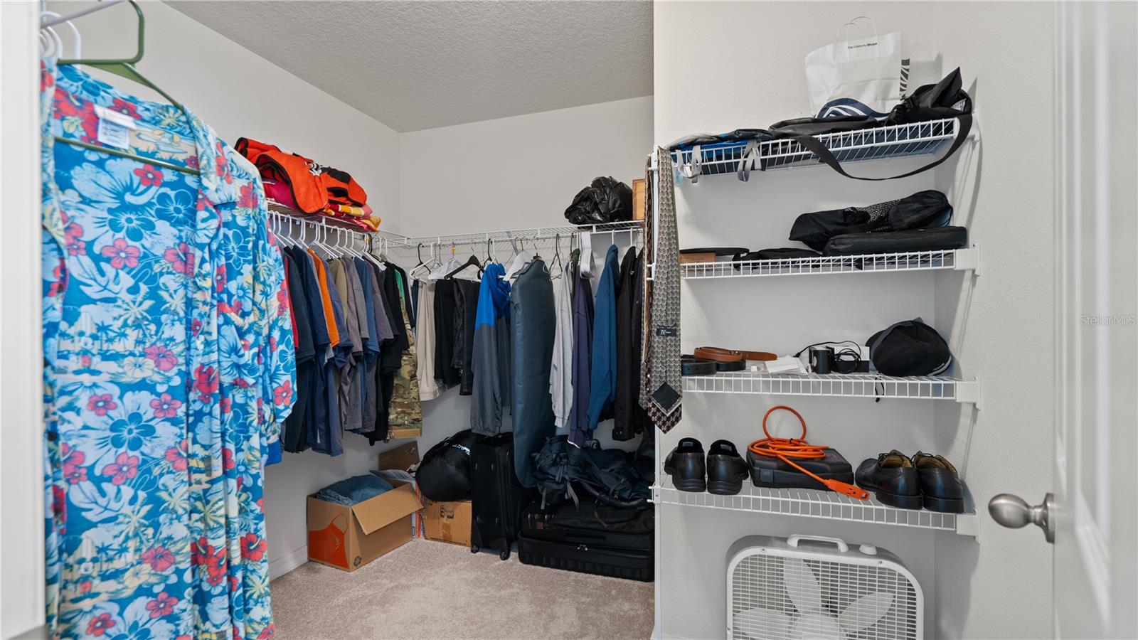Primary Walk In Closet - 8113 RED STOPPER LN, WINTER GARDEN