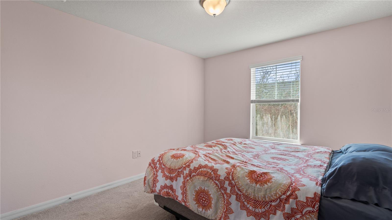 Bedroom 3 - 8113 RED STOPPER LN, WINTER GARDEN