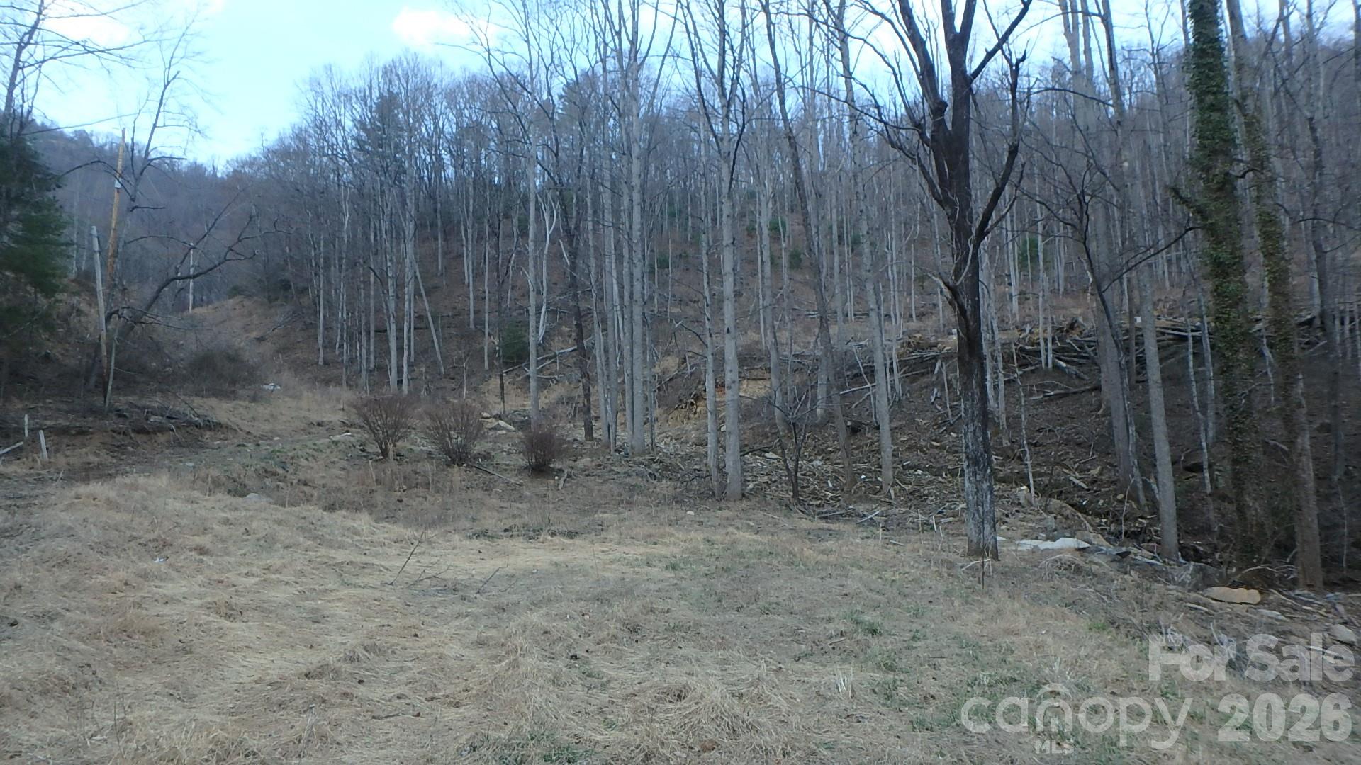 Acreage at 4696 NC Hwy 226A Highway, Marion, photo 5 of 10