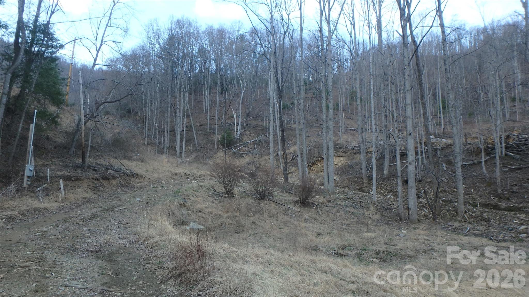 Acreage at 4696 NC Hwy 226A Highway, Marion, photo 6 of 10