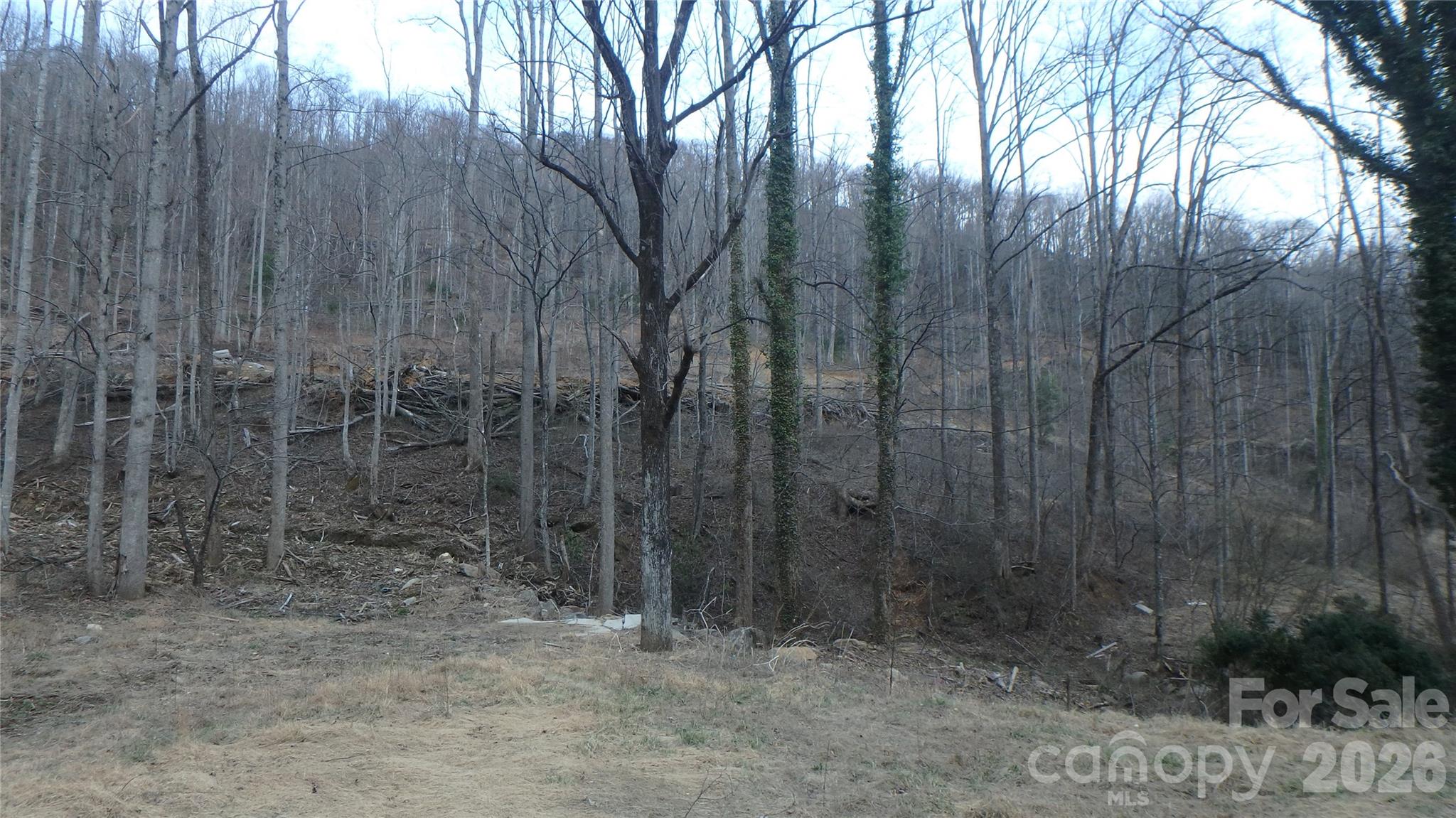 Acreage at 4696 NC Hwy 226A Highway, Marion, photo 7 of 10