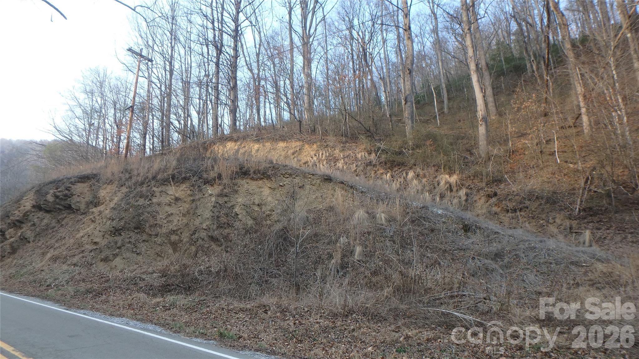 Acreage at 4696 NC Hwy 226A Highway, Marion, photo 10 of 10