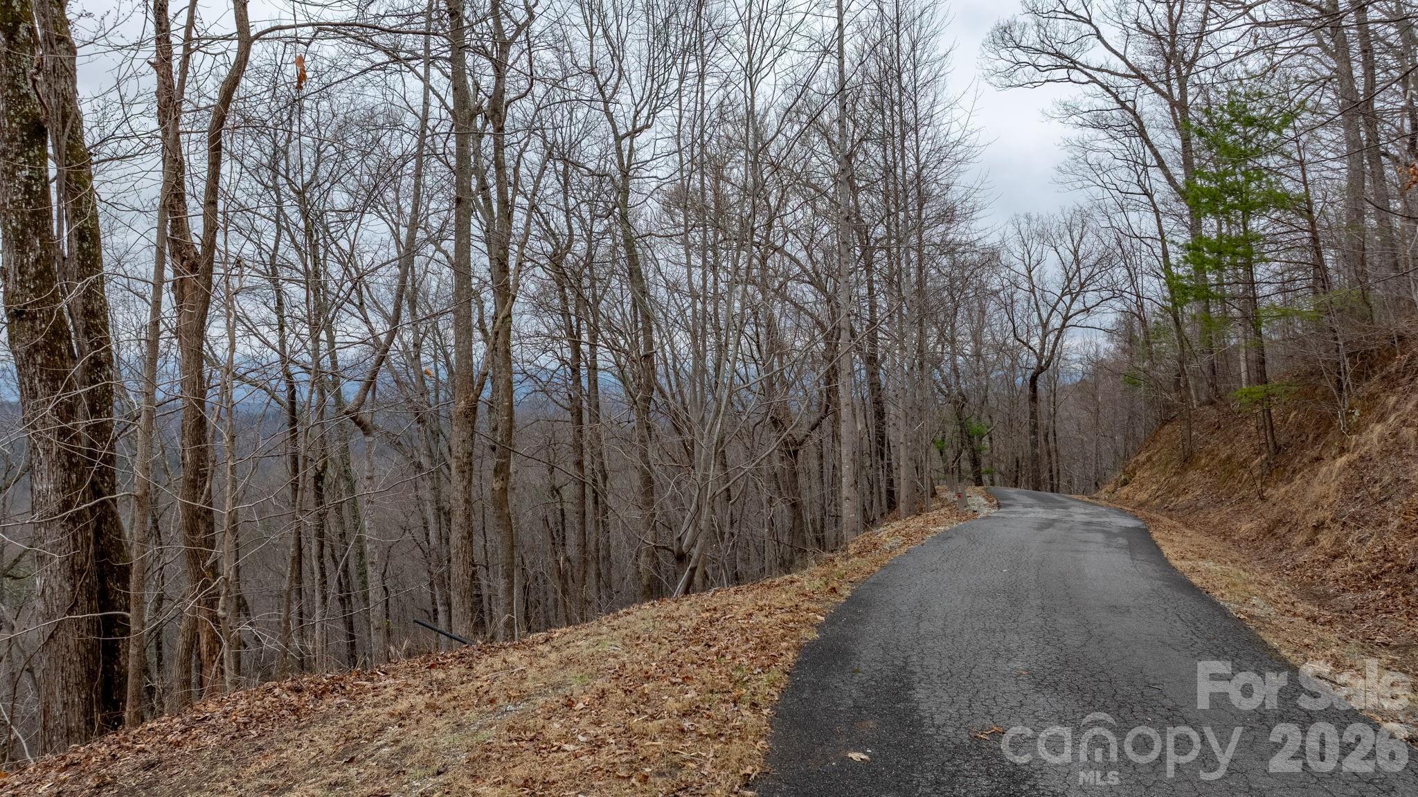 Lot at 0 Mountain Crest Drive S, Marion, photo 7 of 31